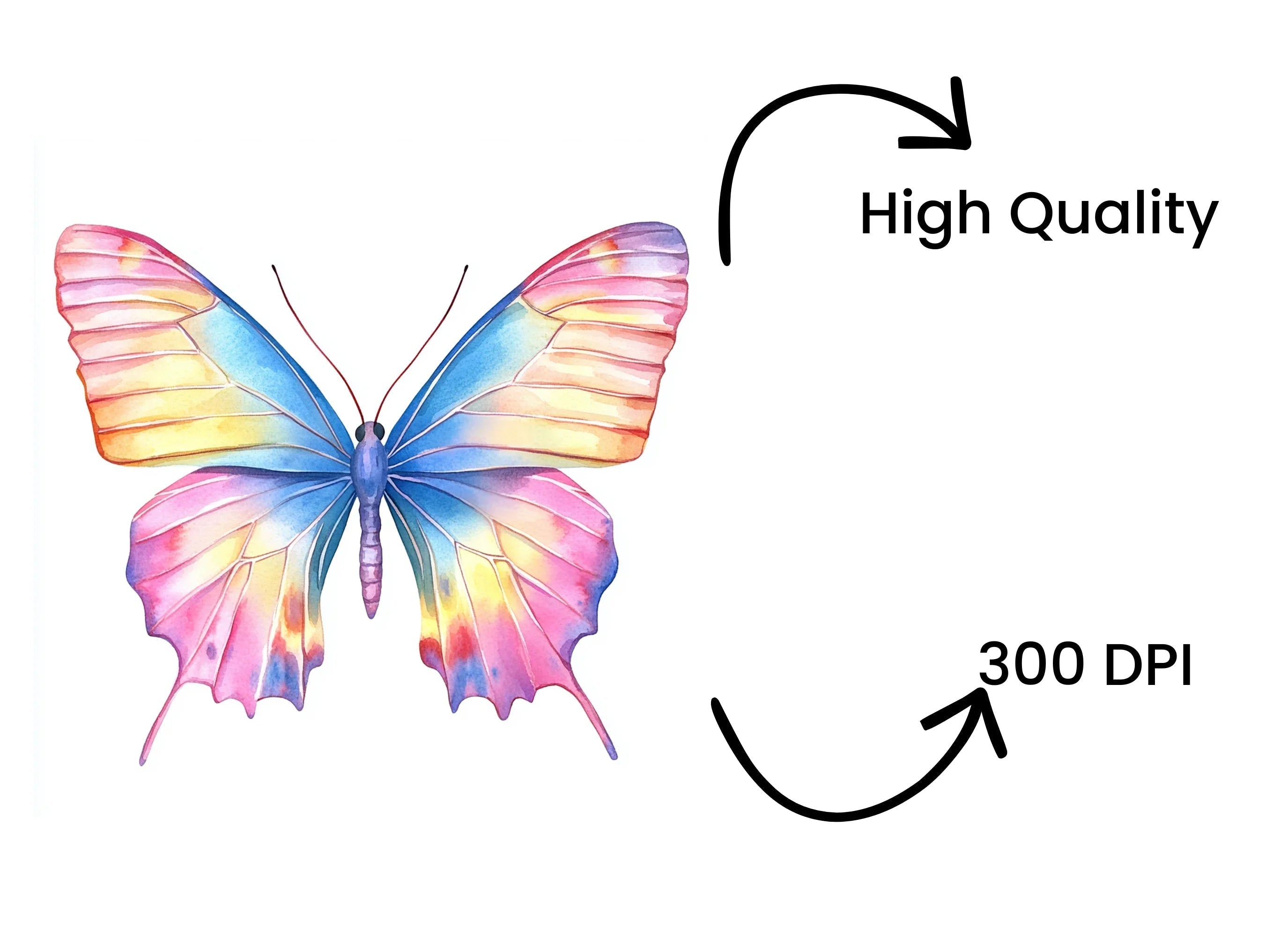 Vibrant Butterfly Clipart Bundle