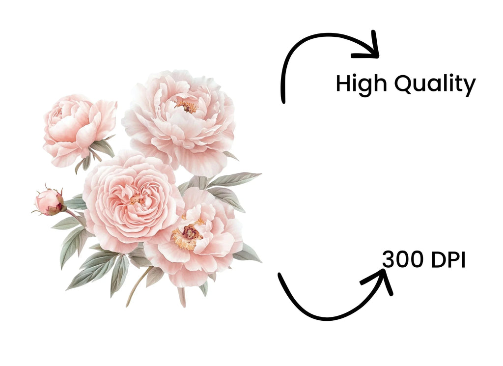 Pink Peony Rose Clipart Bundle
