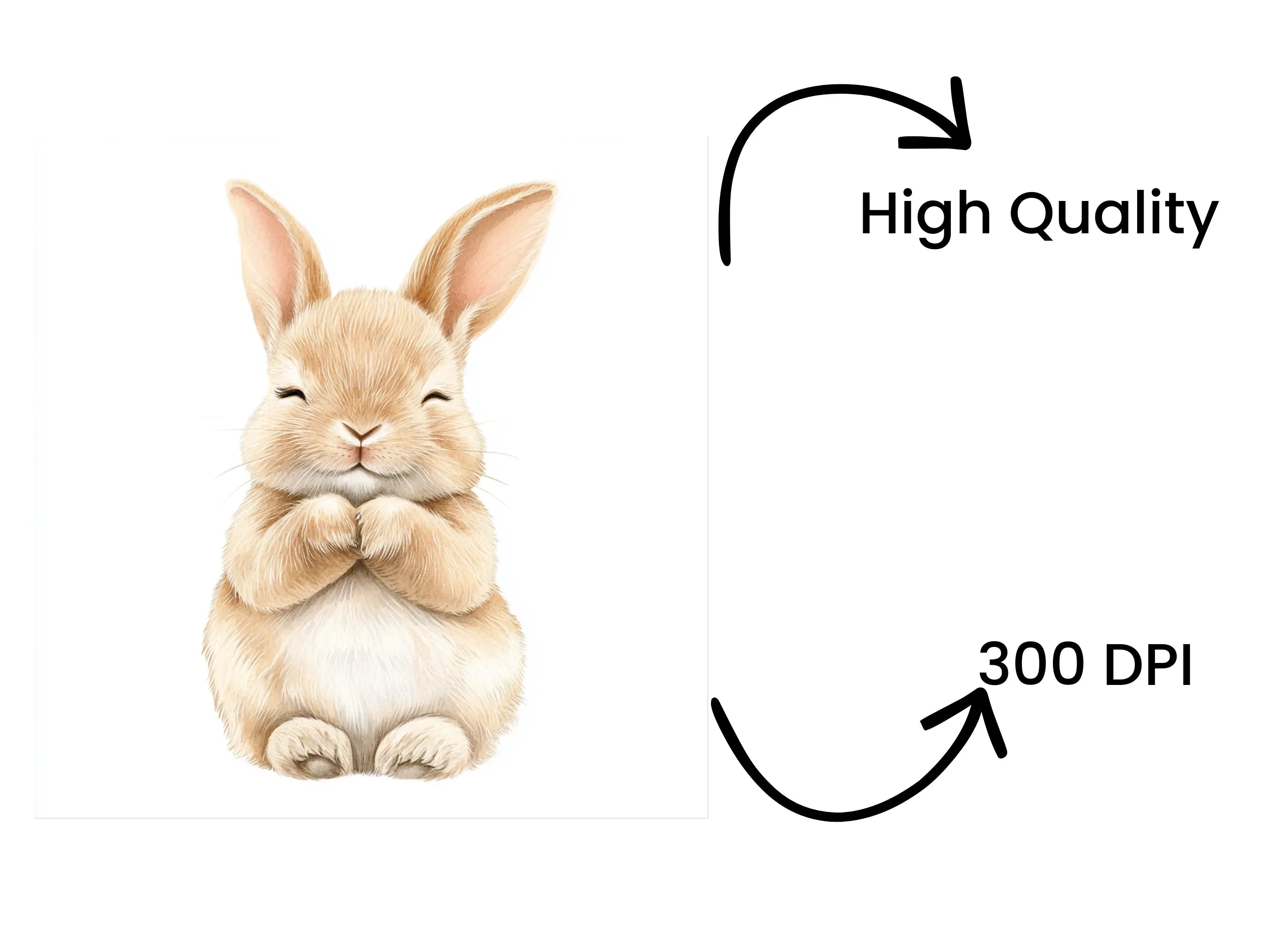 Cute Bunny Clipart Bundle