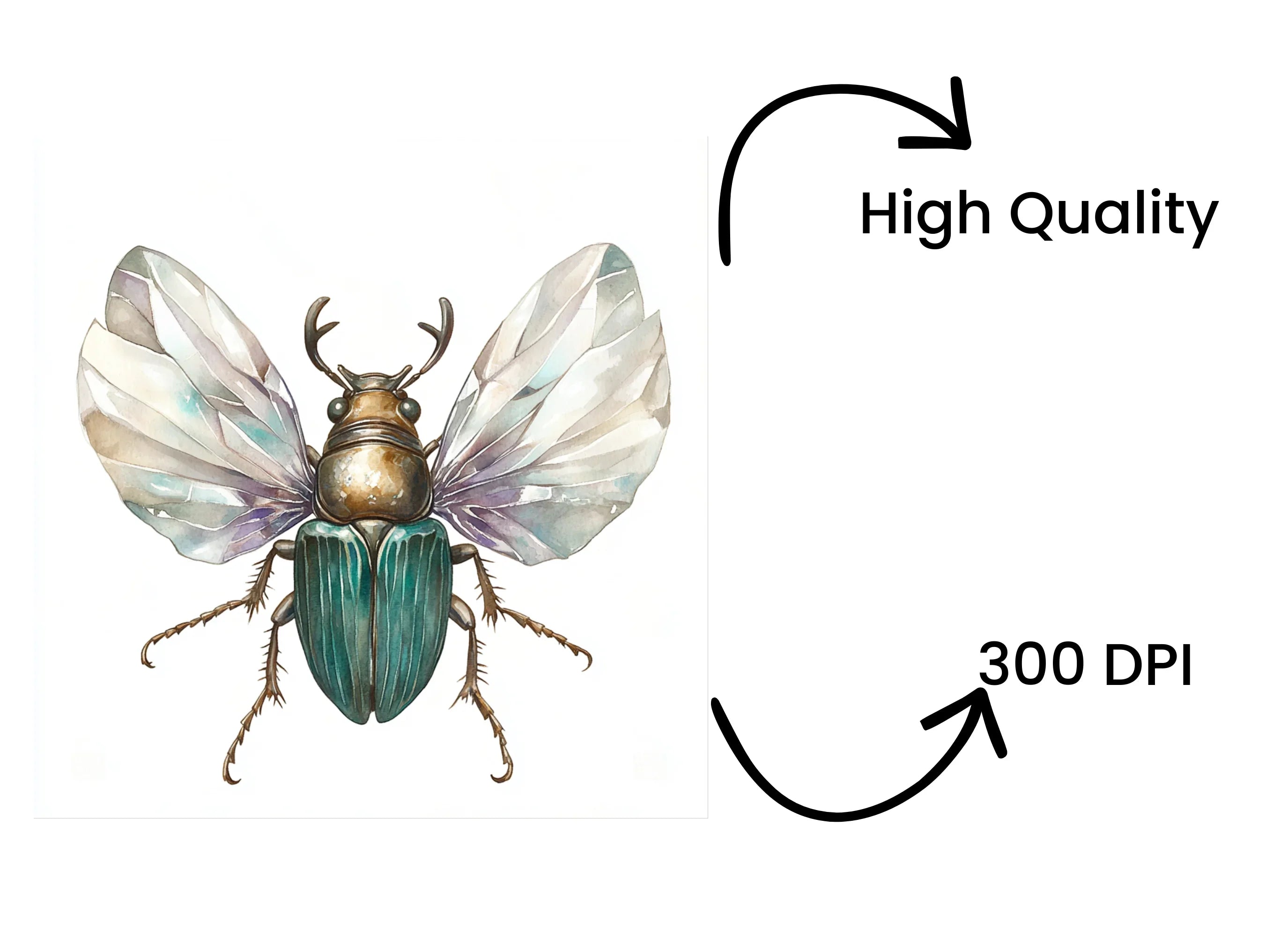 Jeweled Beetles Clipart Bundle