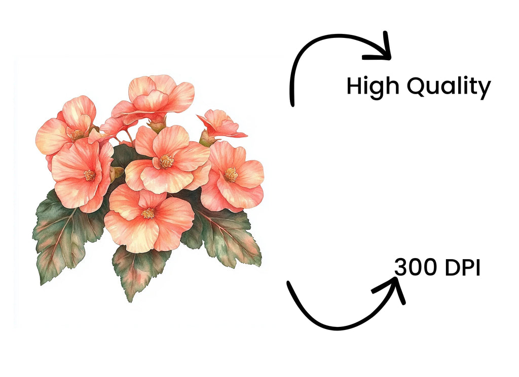 Peach Begonia Flower Clipart Bundle