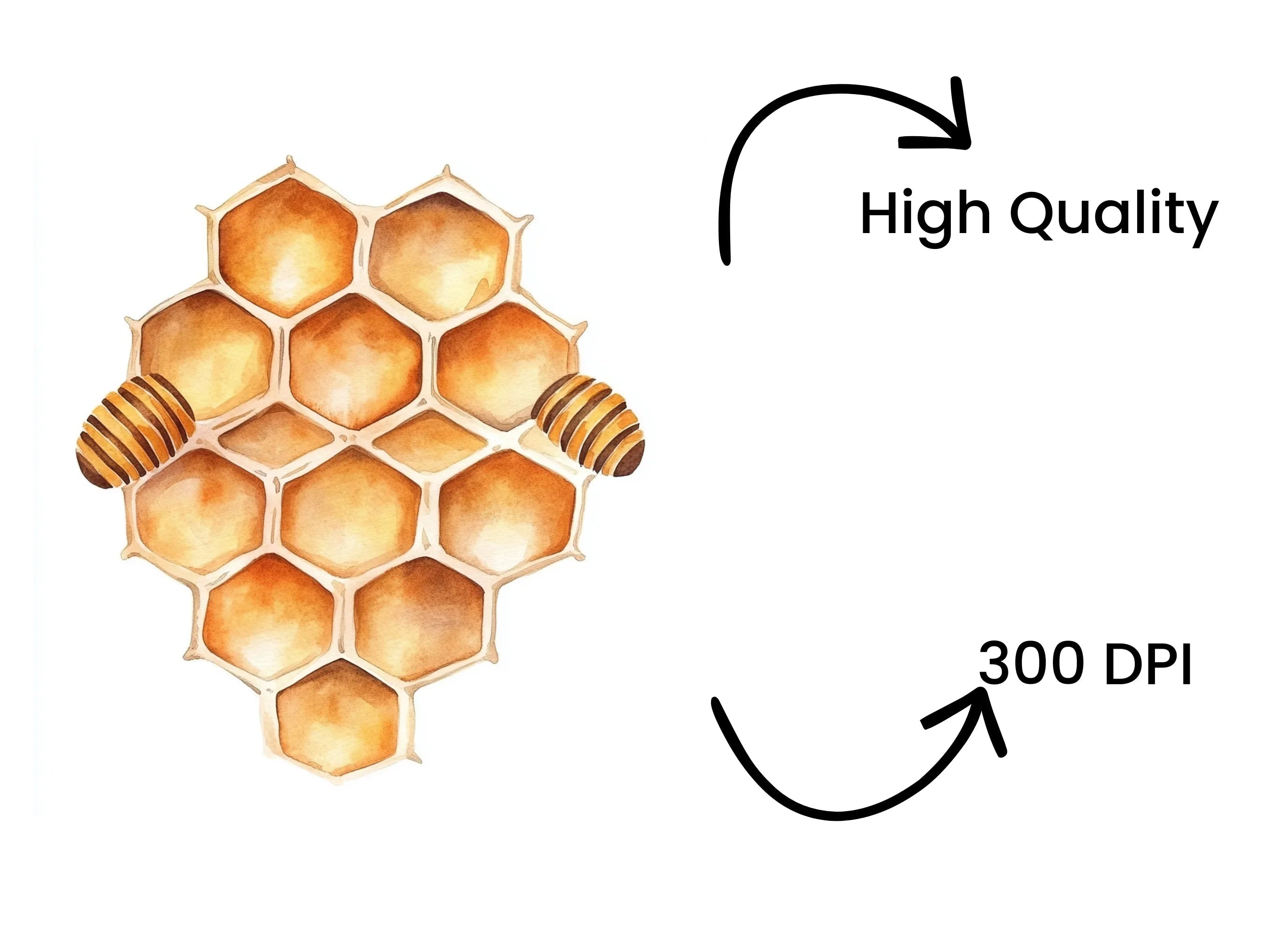 Honeycomb Clipart Bundle