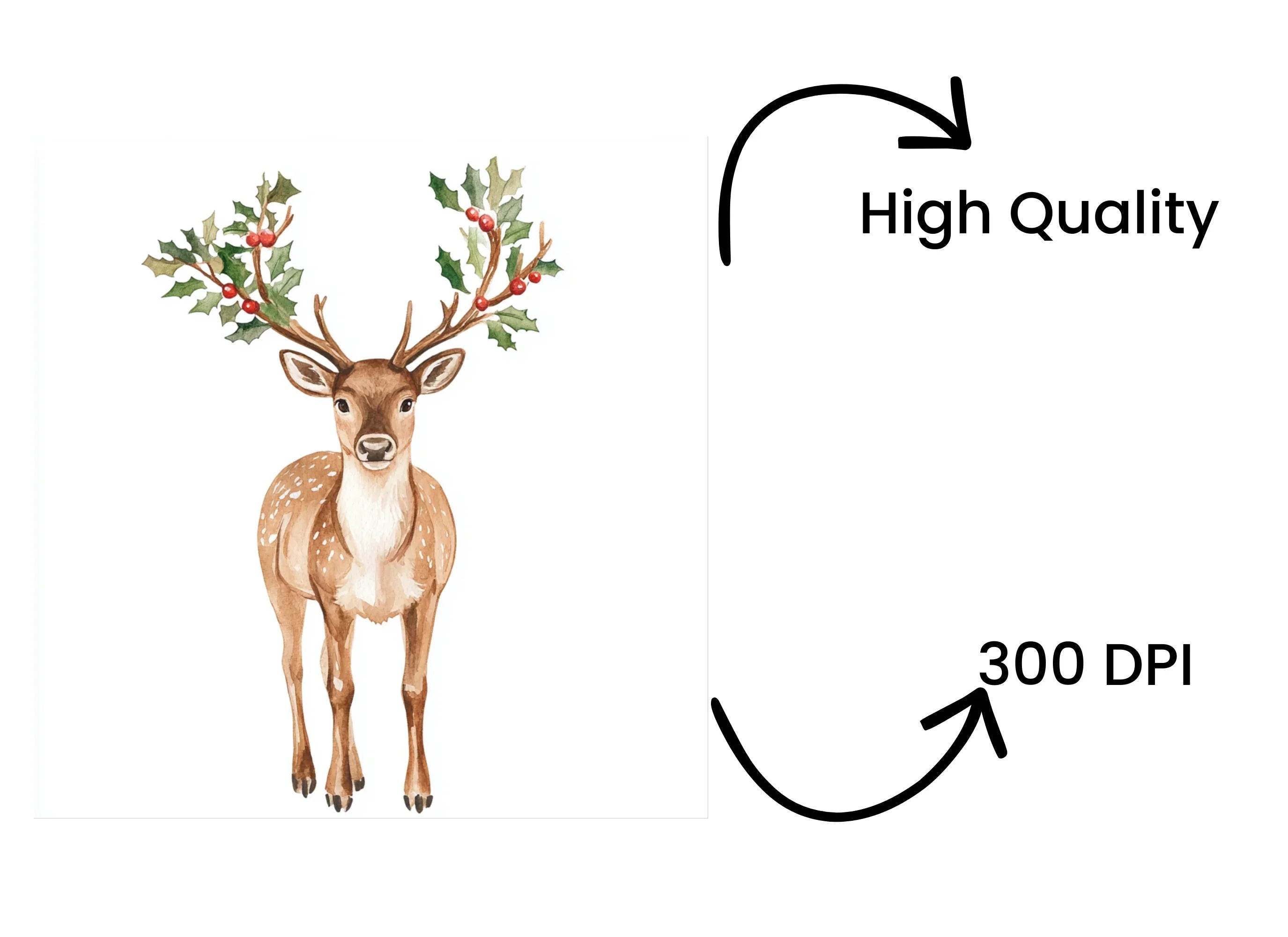 Christmas Holly Deer Clipart Bundle