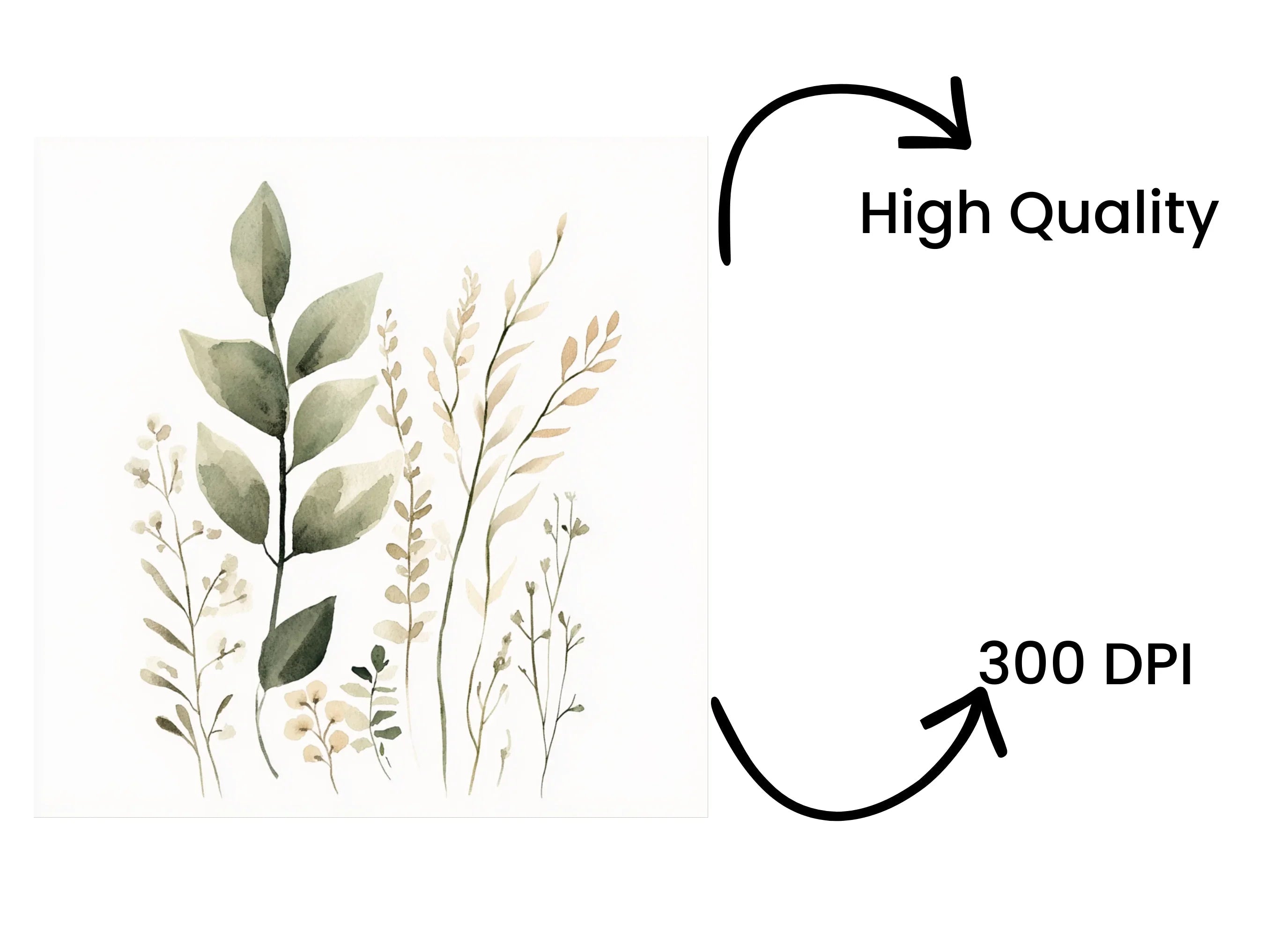 Botanical Clipart Bundle