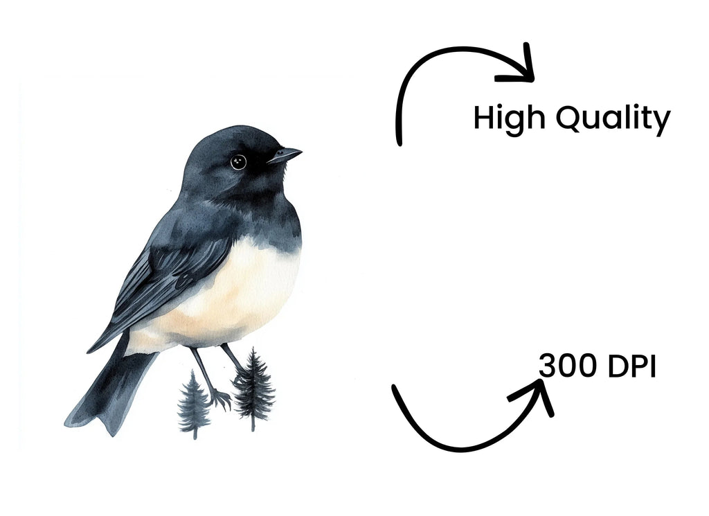 Forest Bird Clipart Bundle