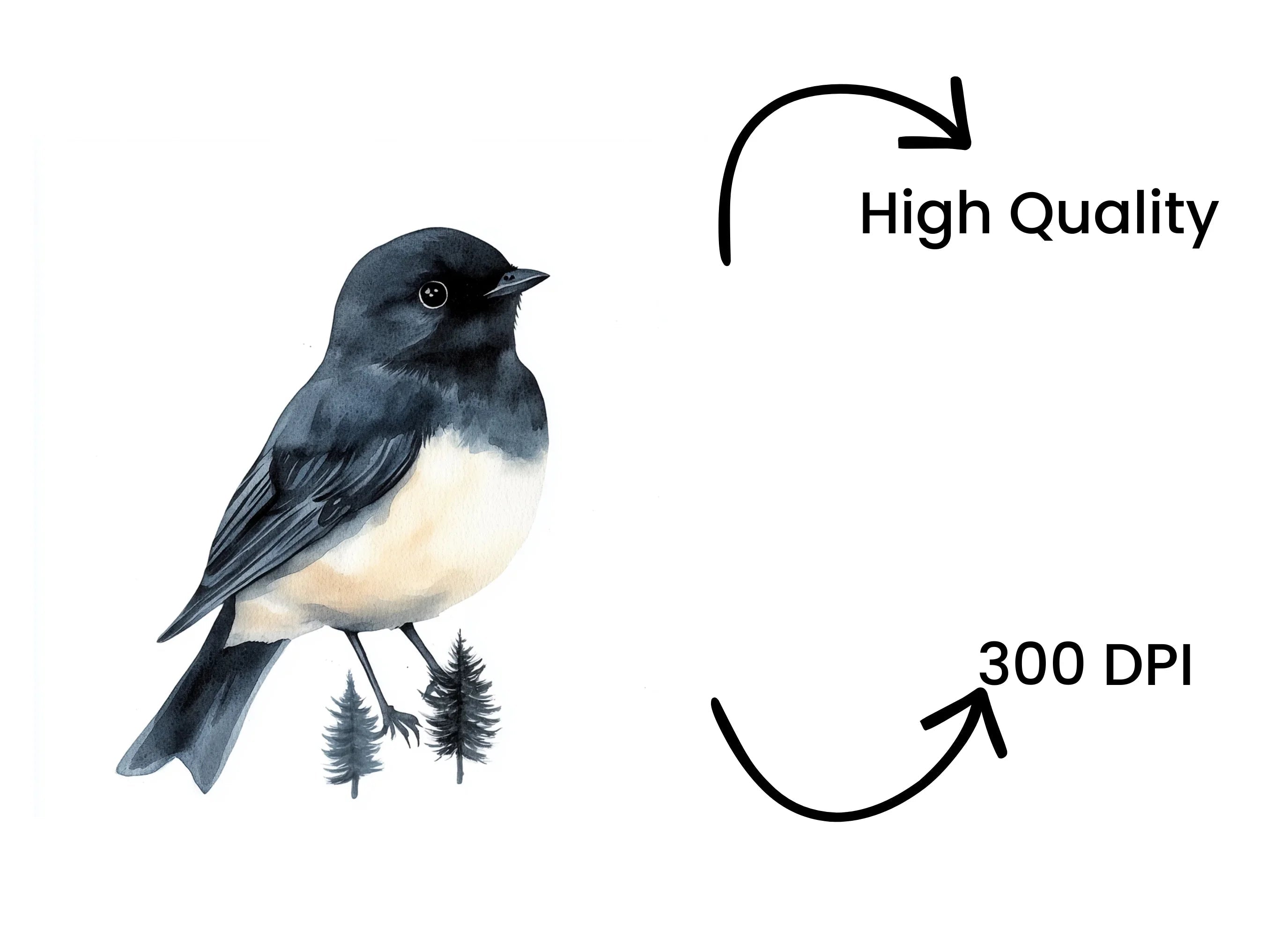 Forest Bird Clipart Bundle