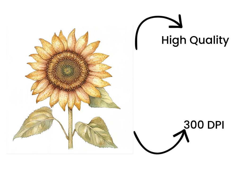 Sunflower Clipart Bundle