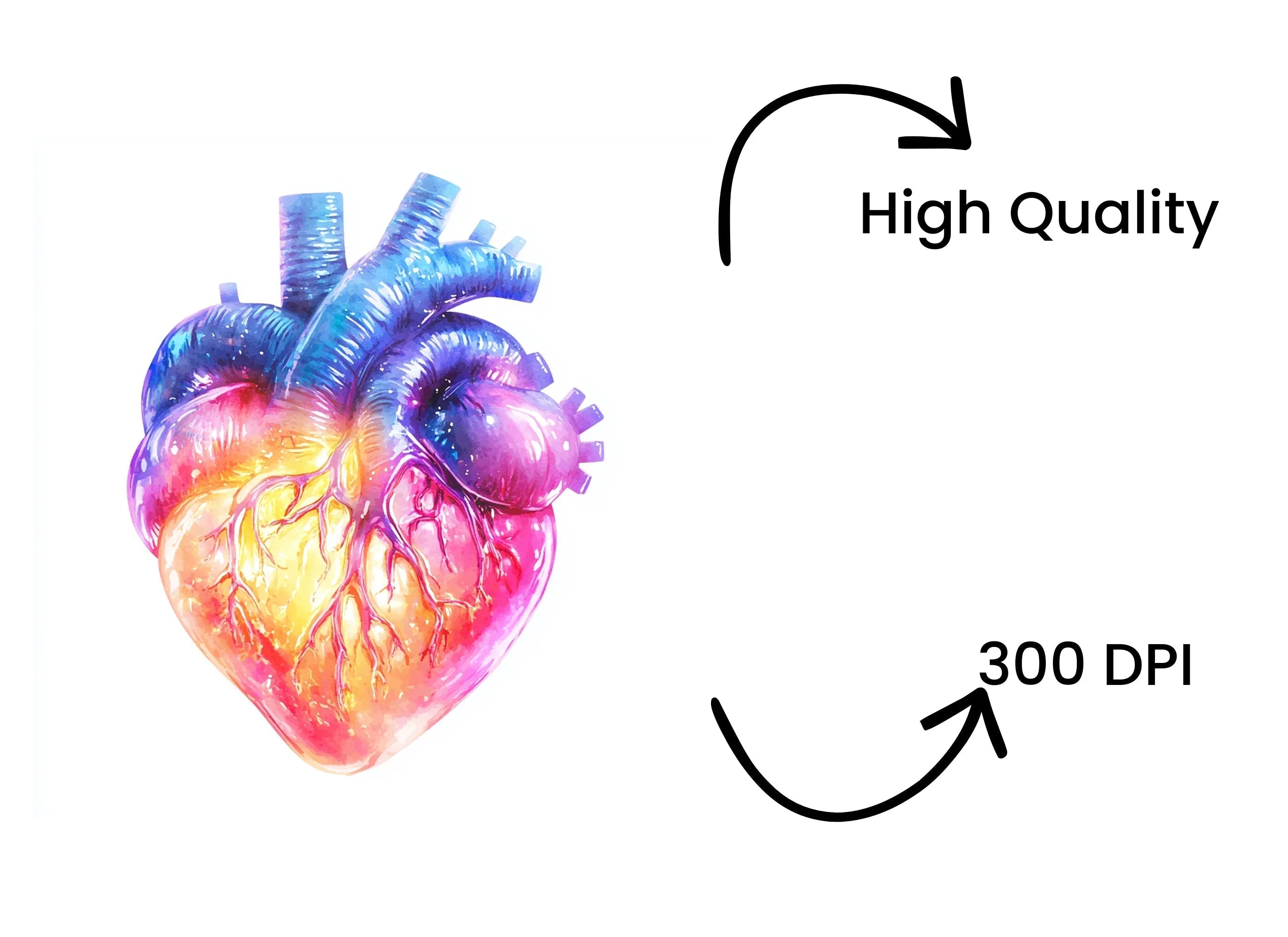 Vibrant Human Heart Clipart Bundle