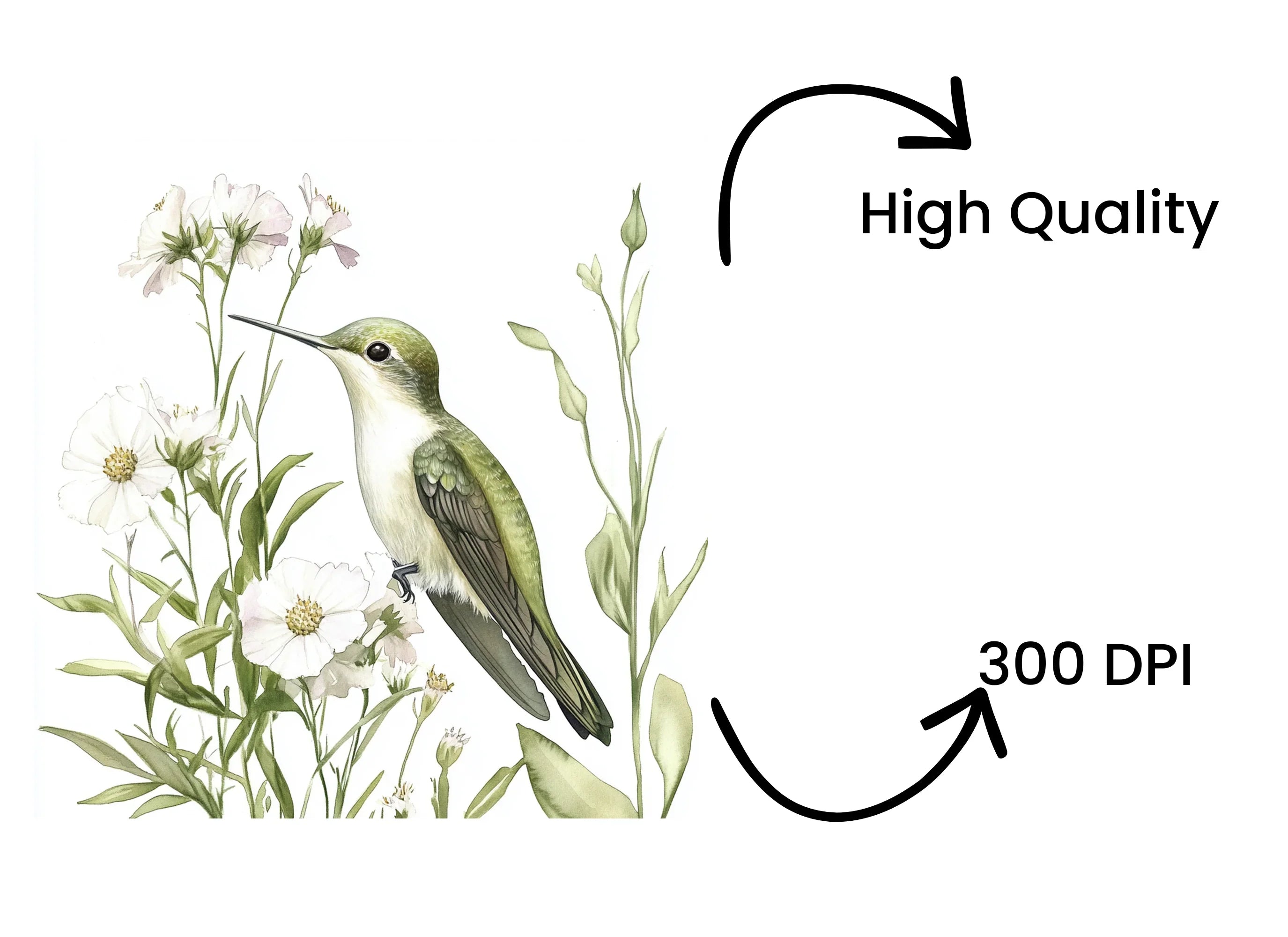 Hummingbird and Wildflowers Clipart Bundle
