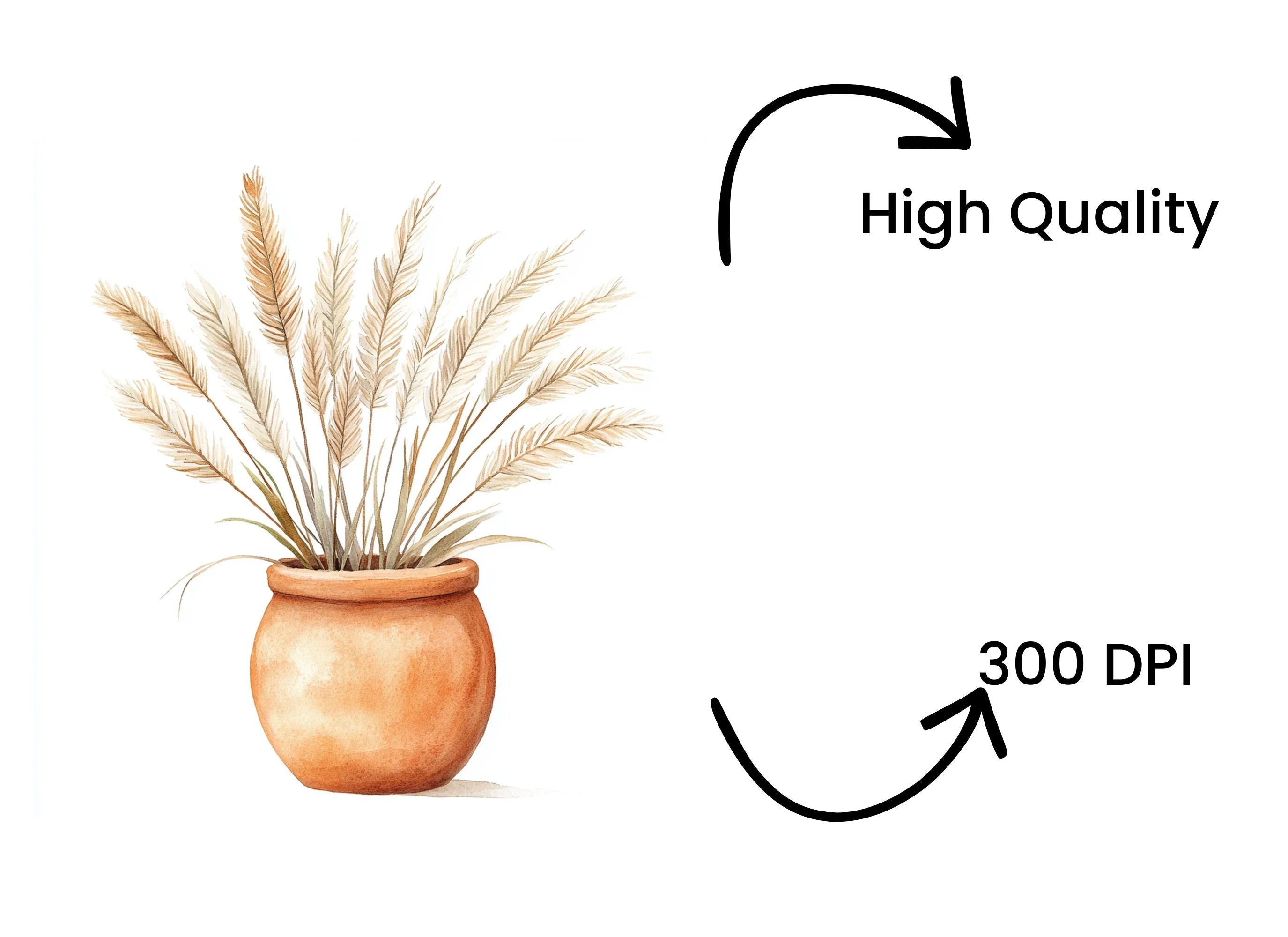 Pampas Grass in Terracotta Pots Clipart Bundle