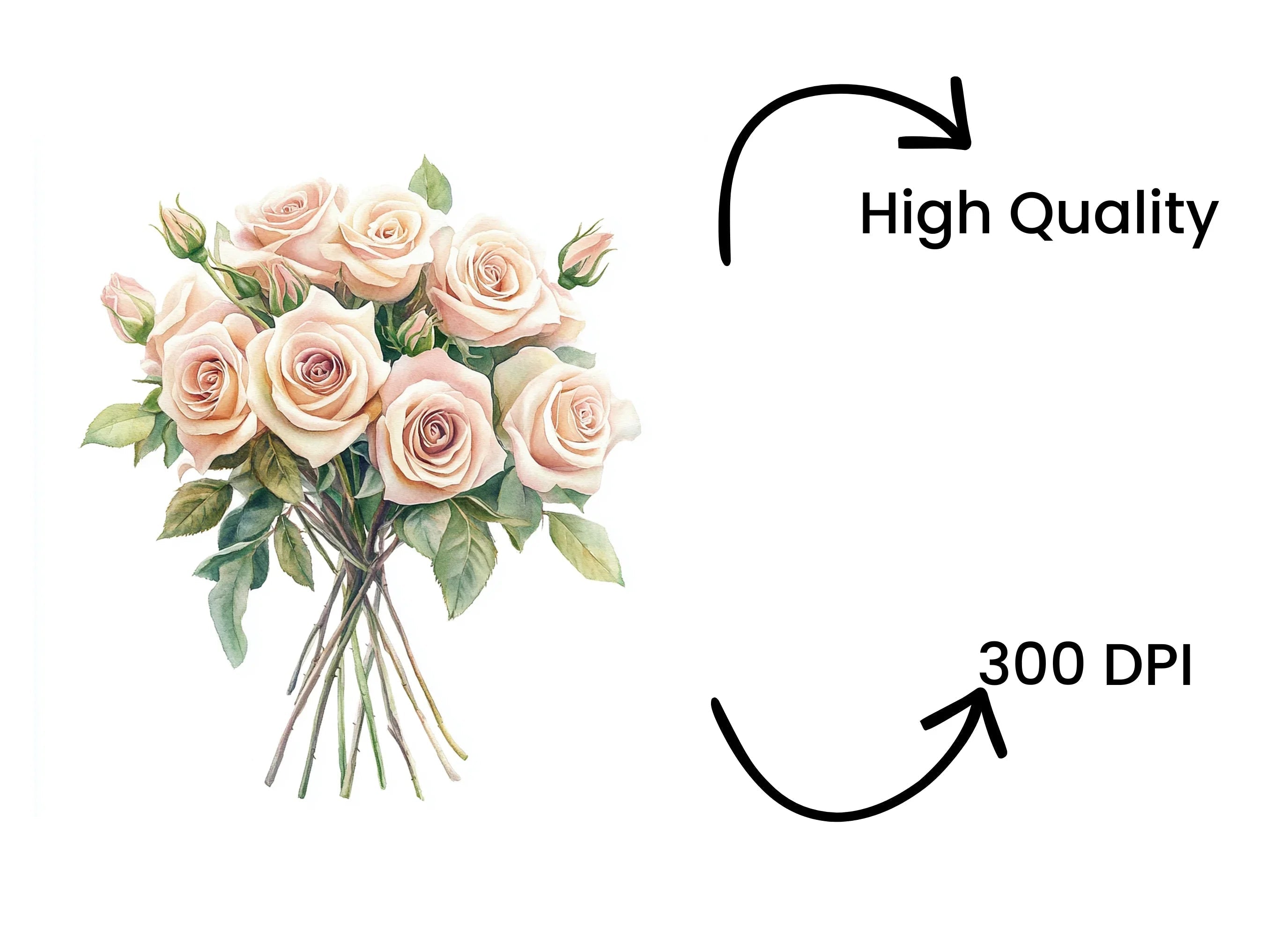 Elegant Peach Rose Bouquets Clipart Bundle