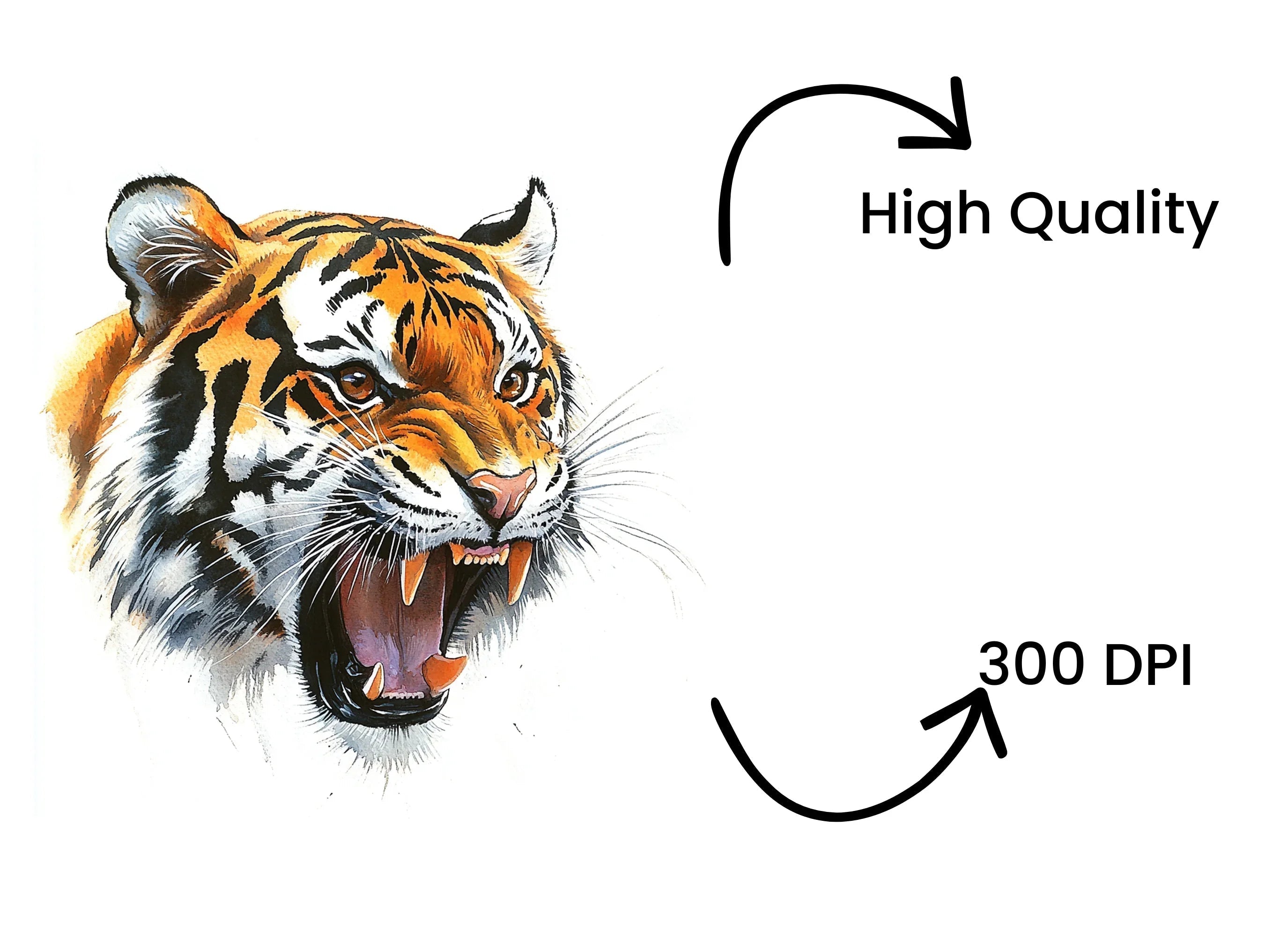 Roaring Tiger Head Clipart Bundle