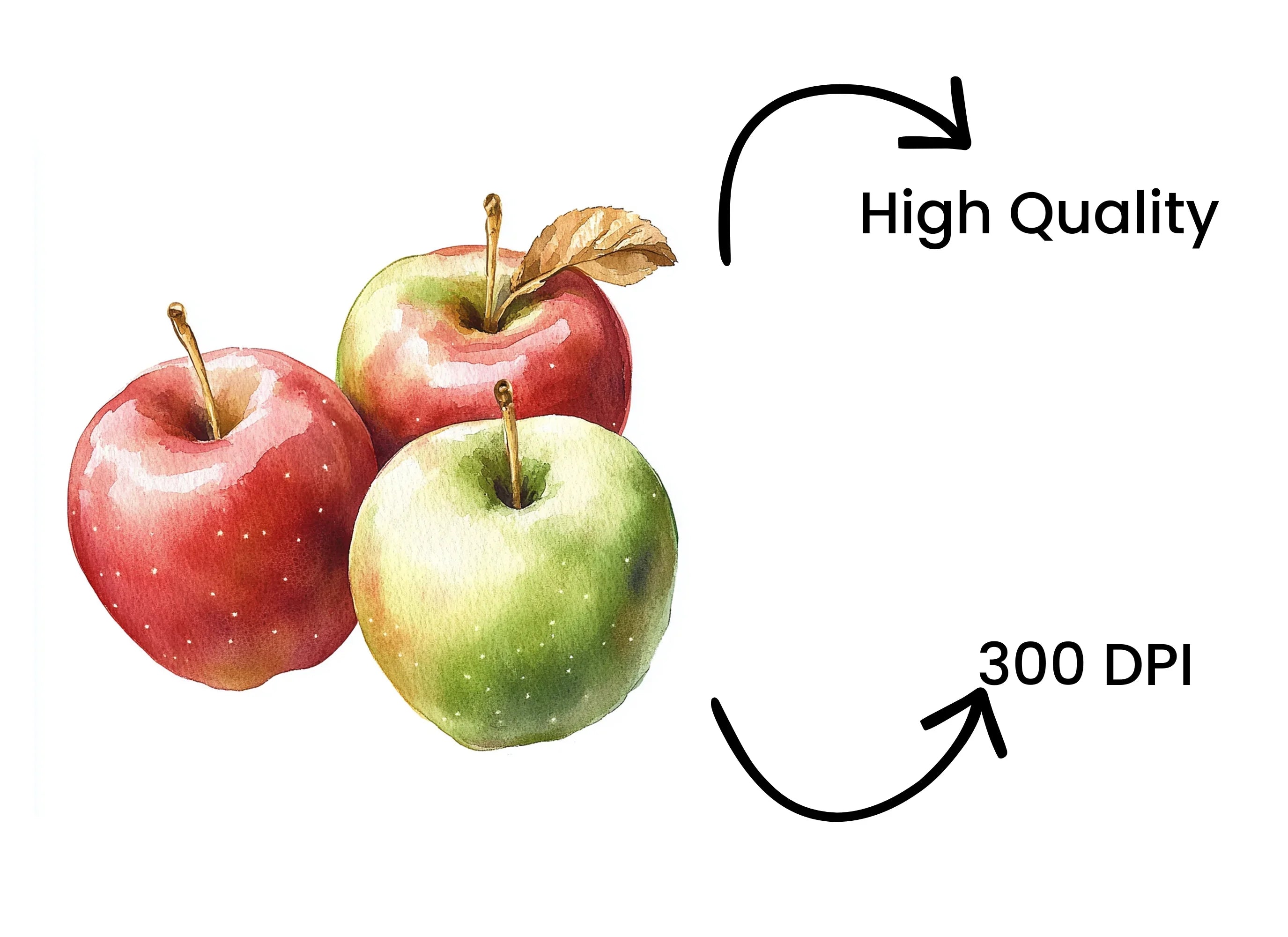 Apples Clipart Bundle
