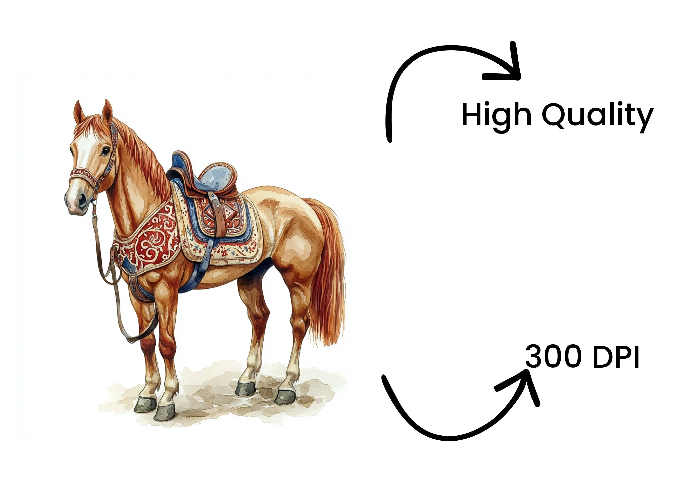 Western Horse Clipart Bundle
