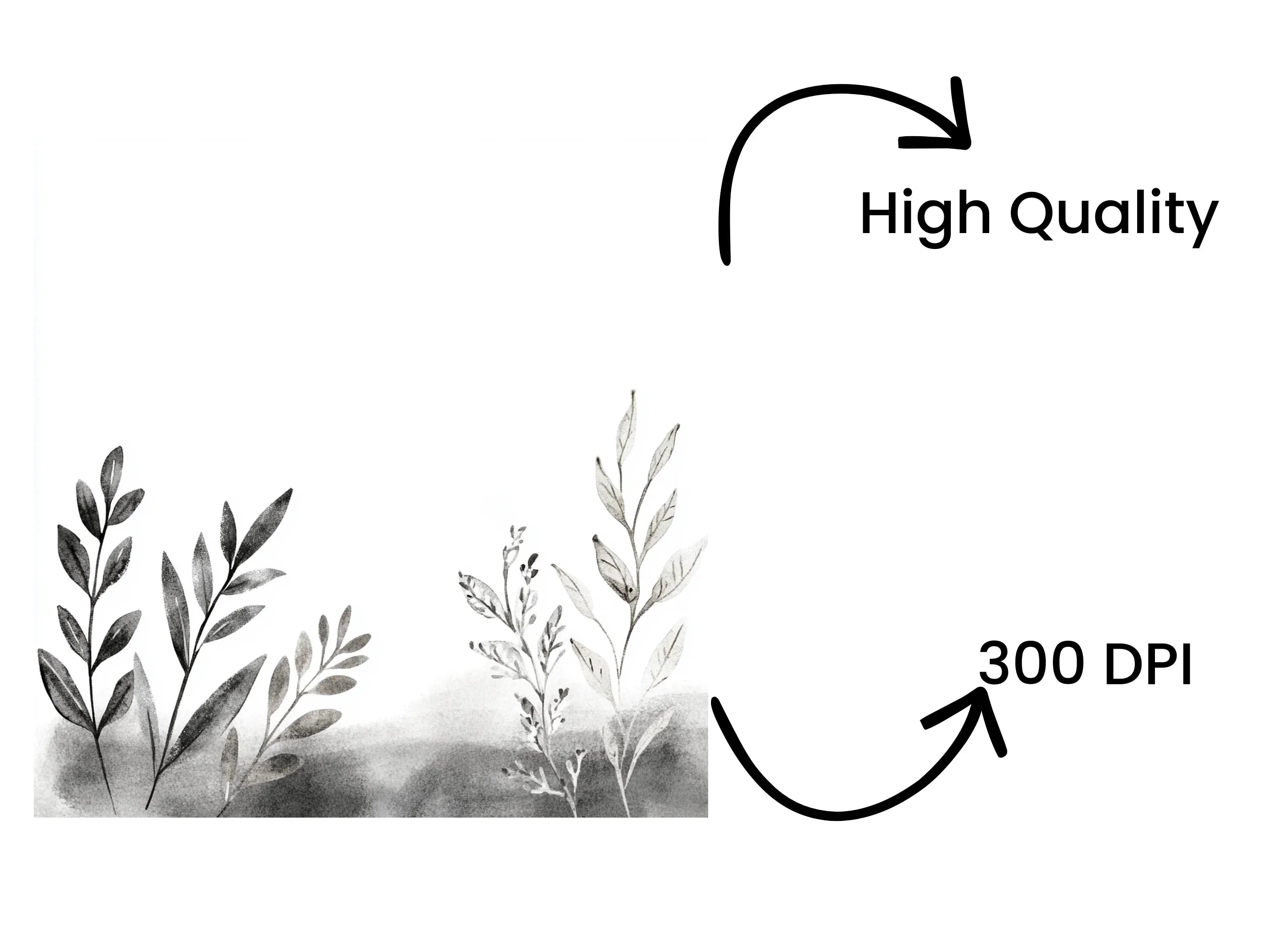 Monochrome Foliage Stones Clipart Bundle