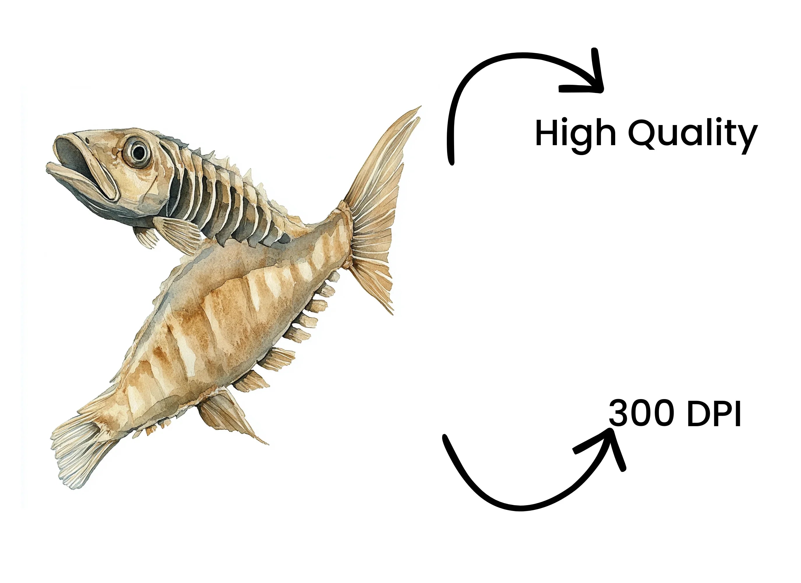 Fish Skeleton Clipart Bundle