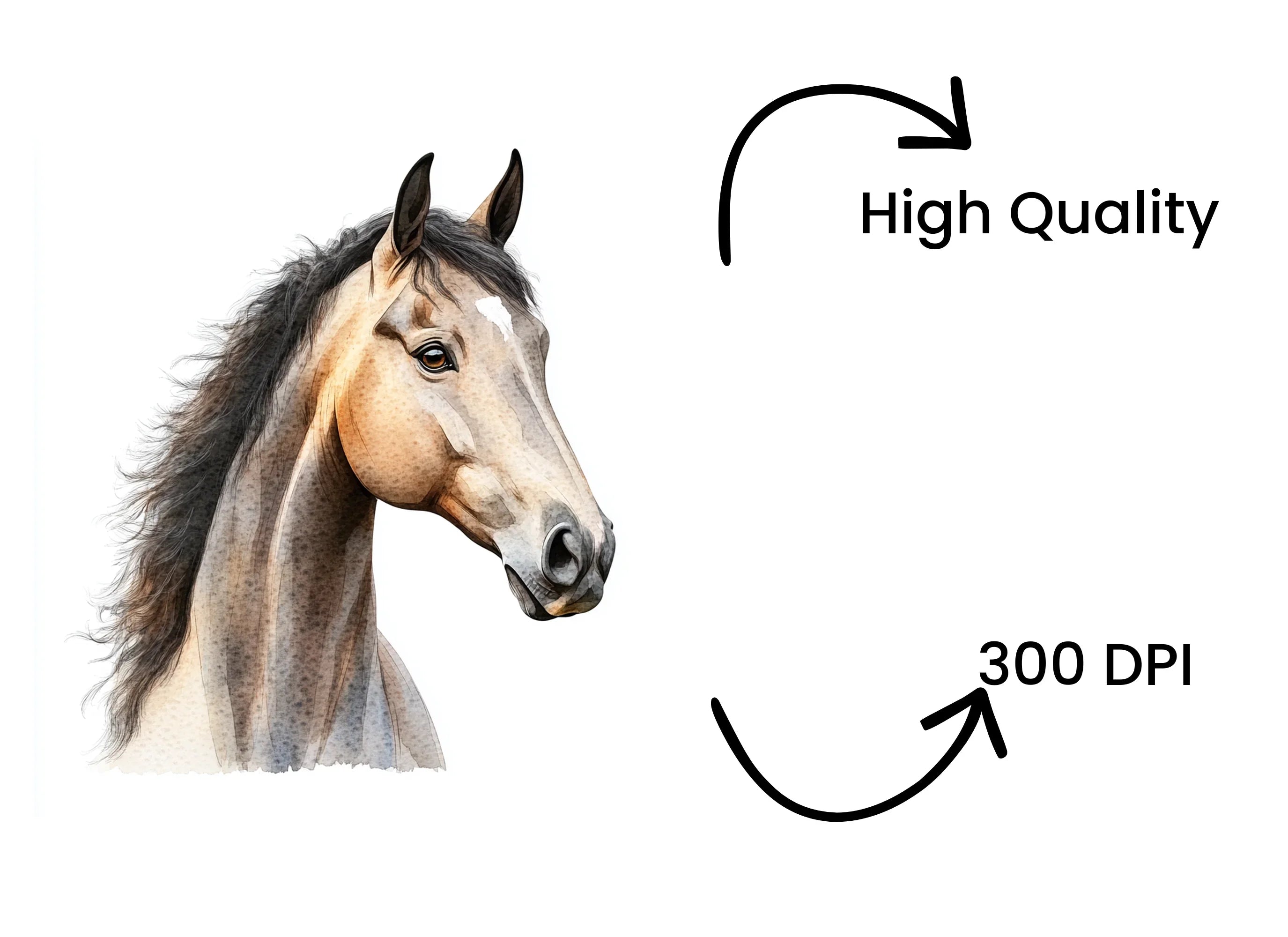 Beautiful Horse Head Clipart Bundle