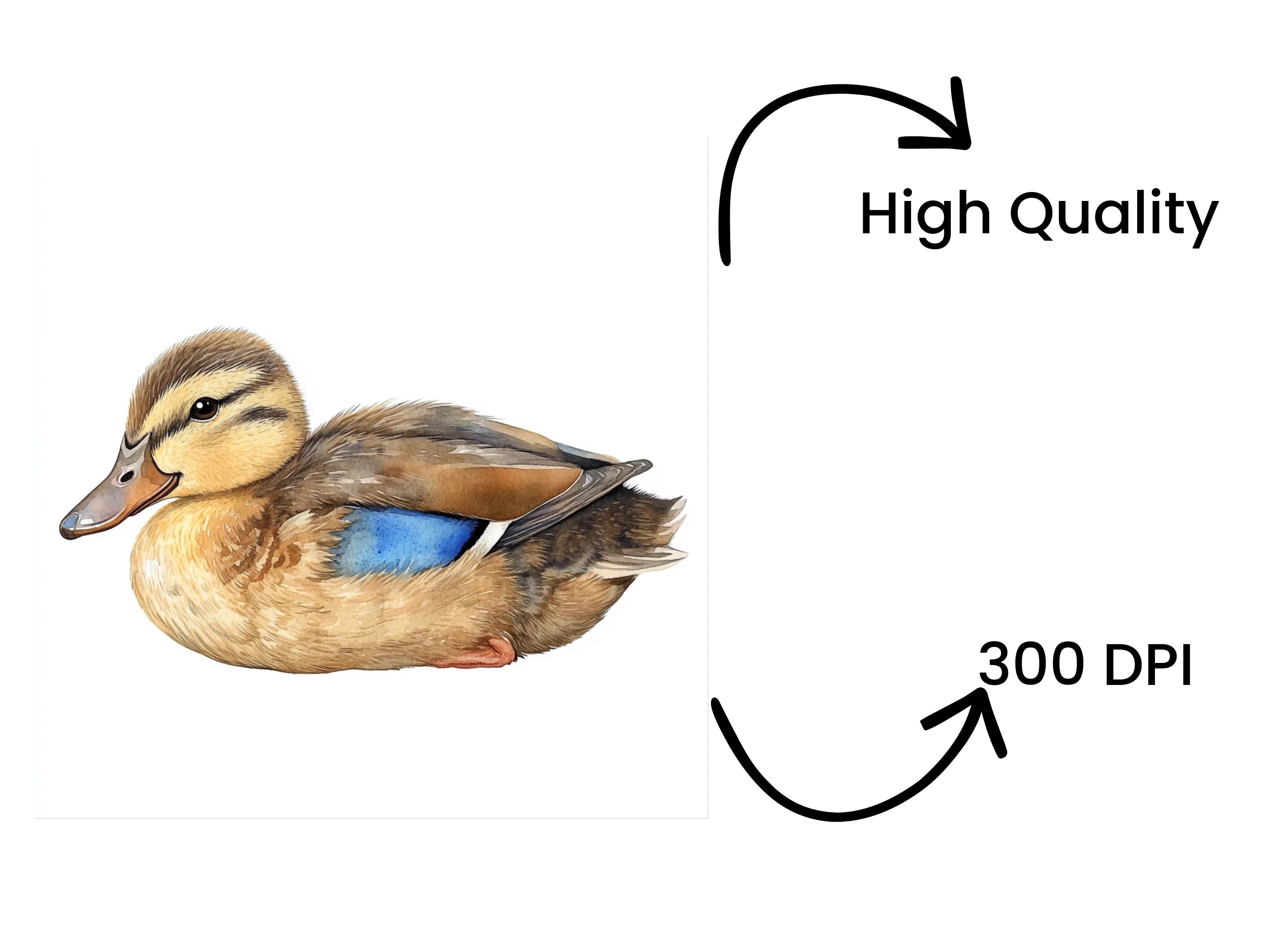 Adorable Duckling Clipart Bundle