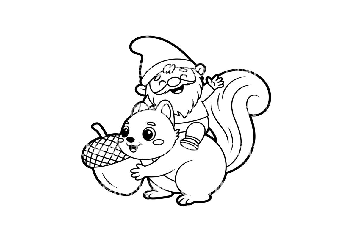 Gnome and Squirrel Friends Coloring Books