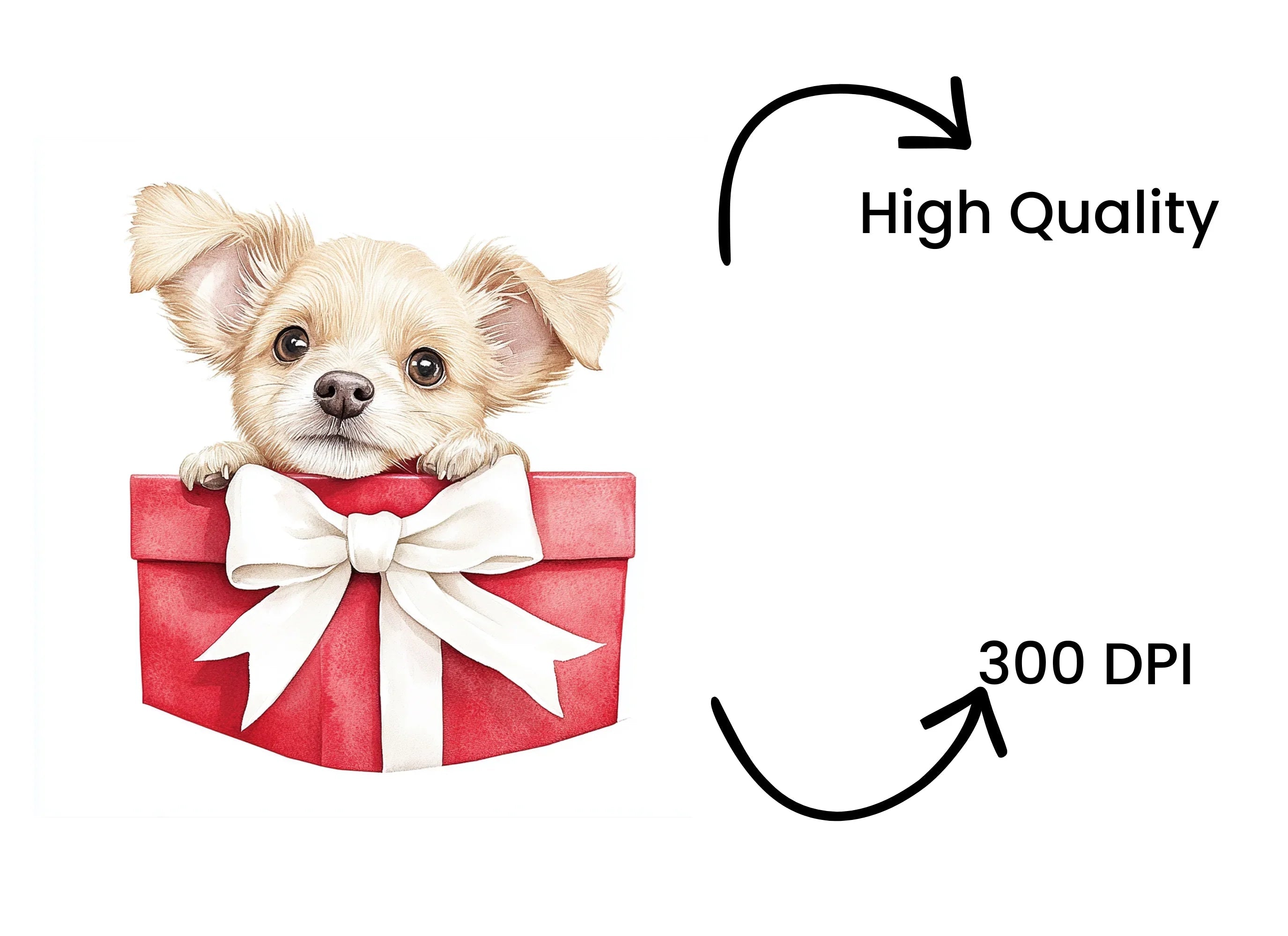 Cute Chihuahua Puppy in Red Gift Box Clipart Bundle
