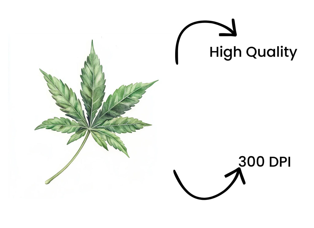 Cannabis Leaves Clipart Bundle