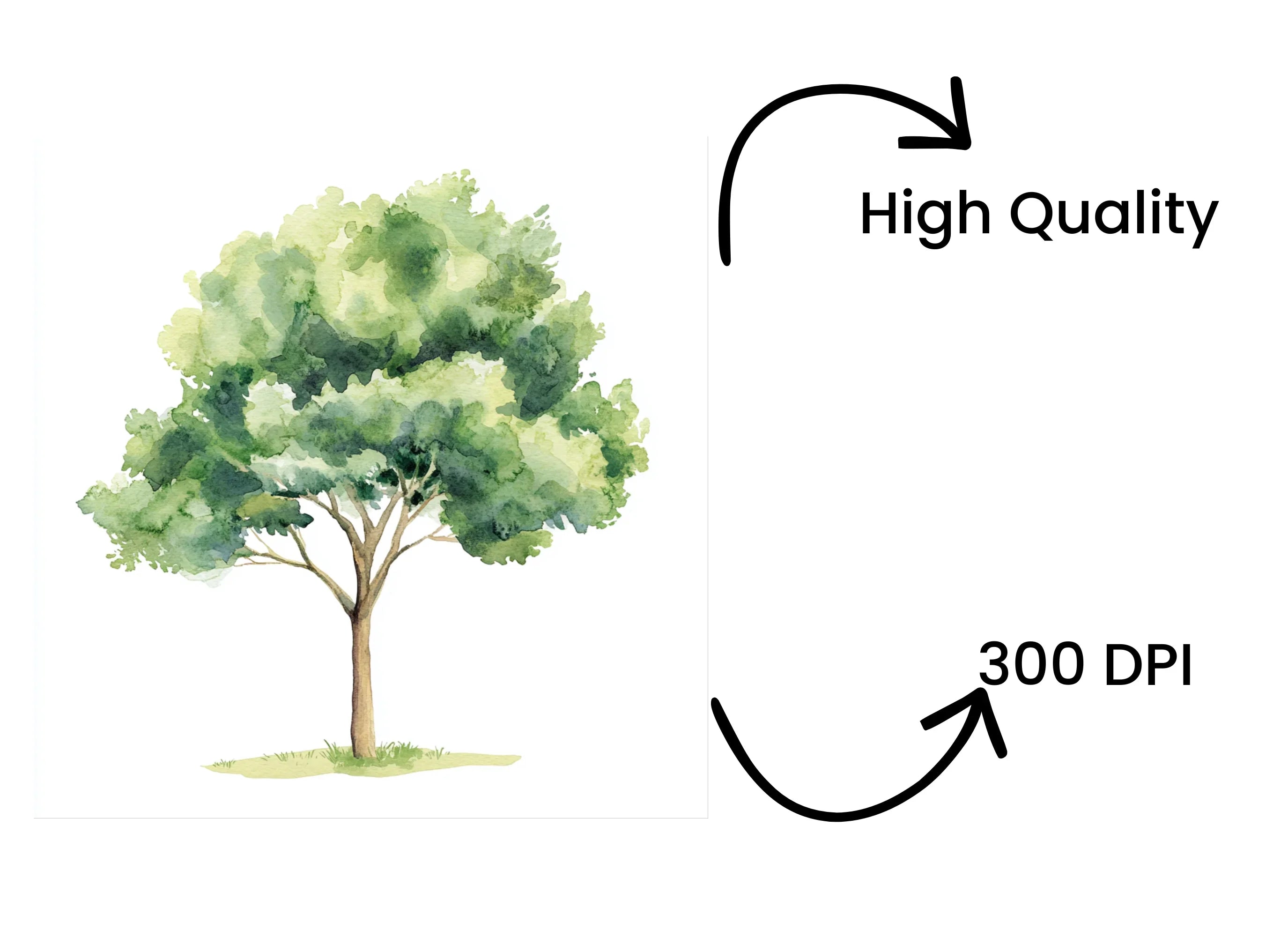 Green Trees Clipart Bundle