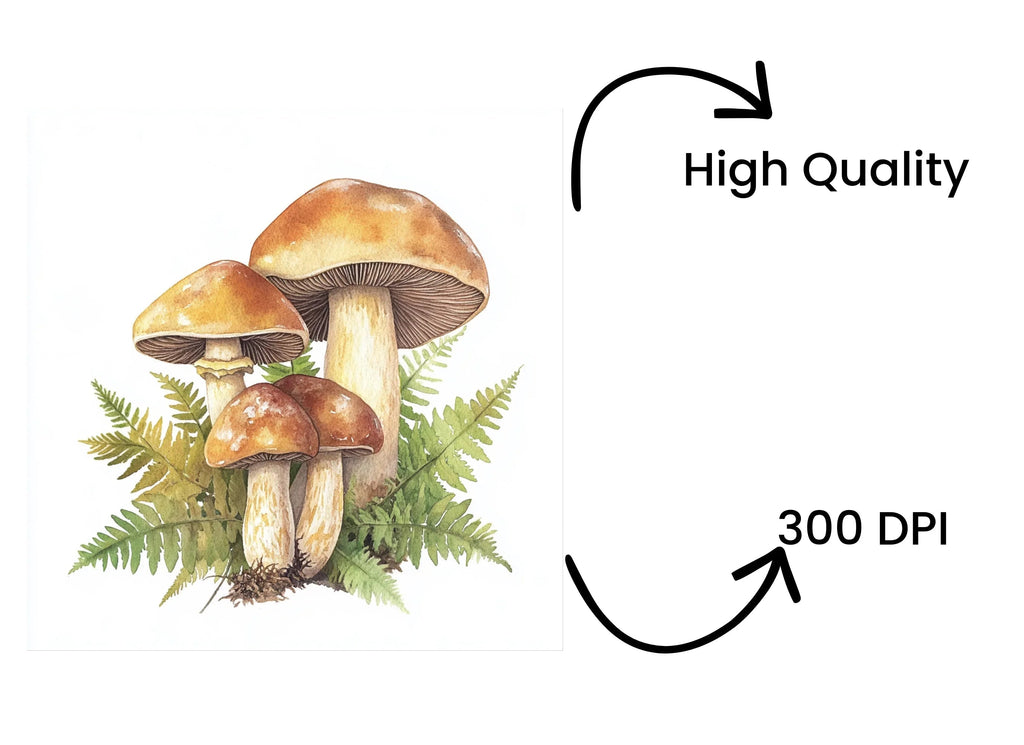 Autumn Forest Mushroom Clipart Bundle