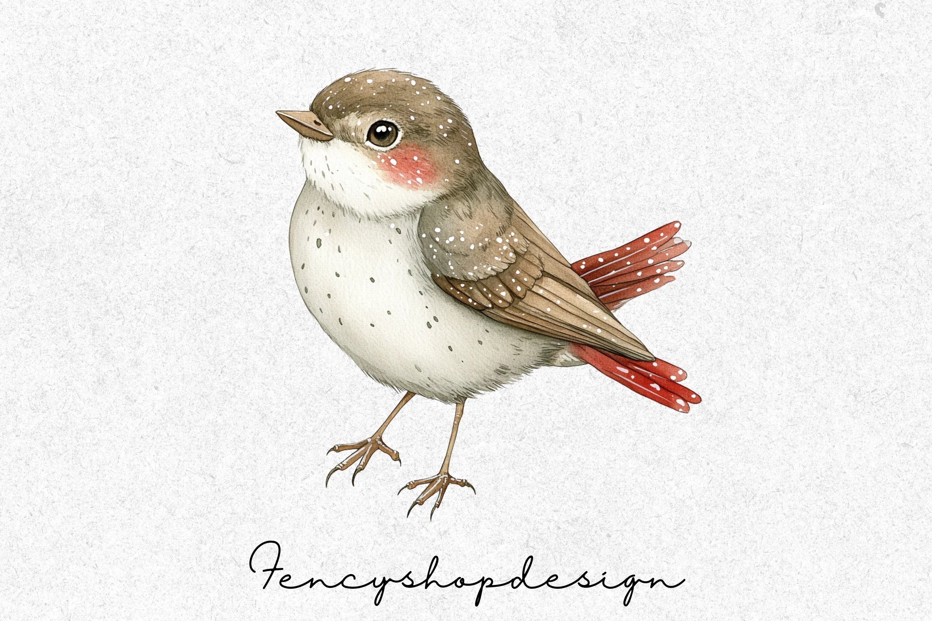 Charming Bird Clipart Bundle
