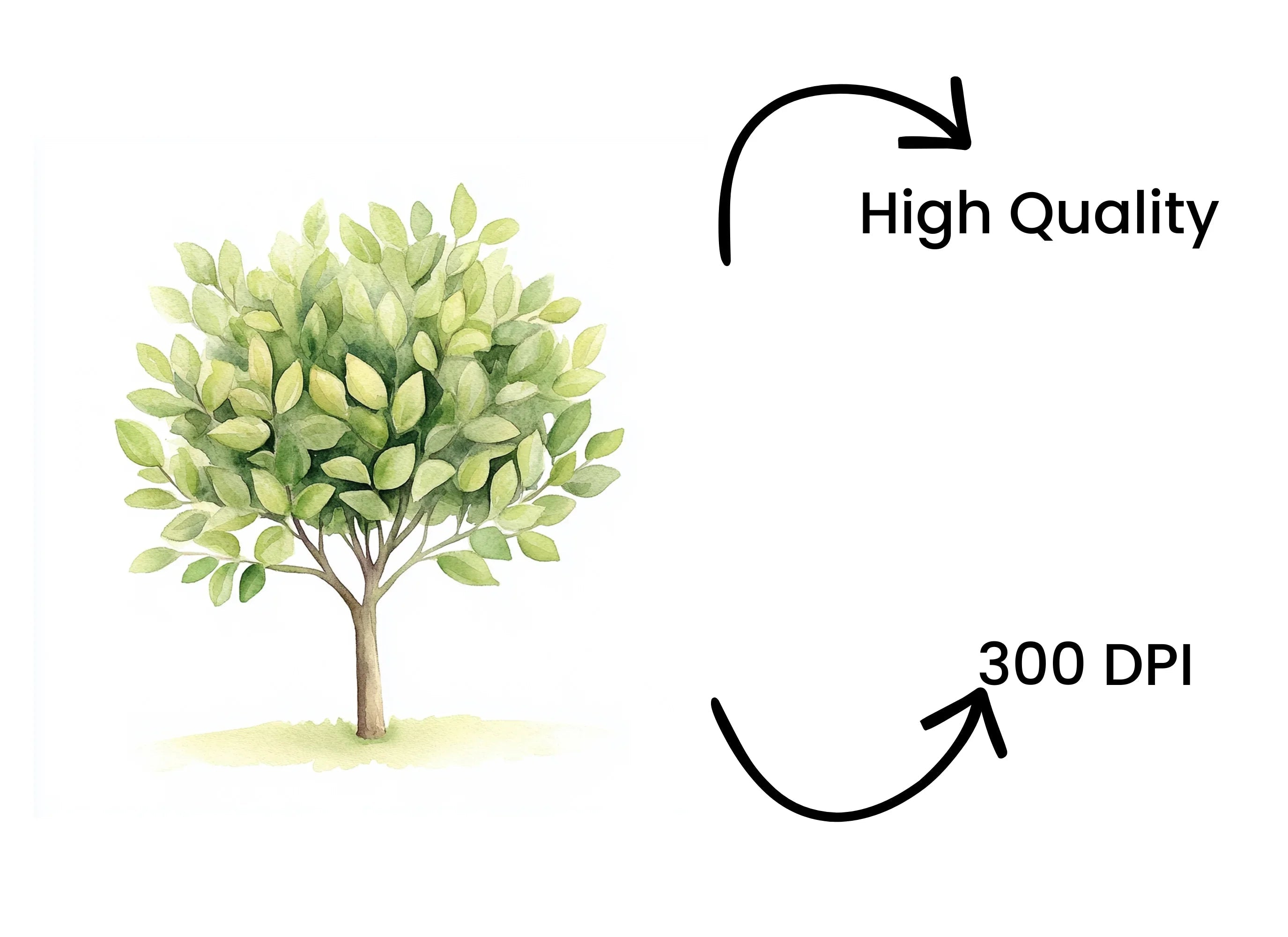 Lush Green Foliage Tree Clipart Bundle