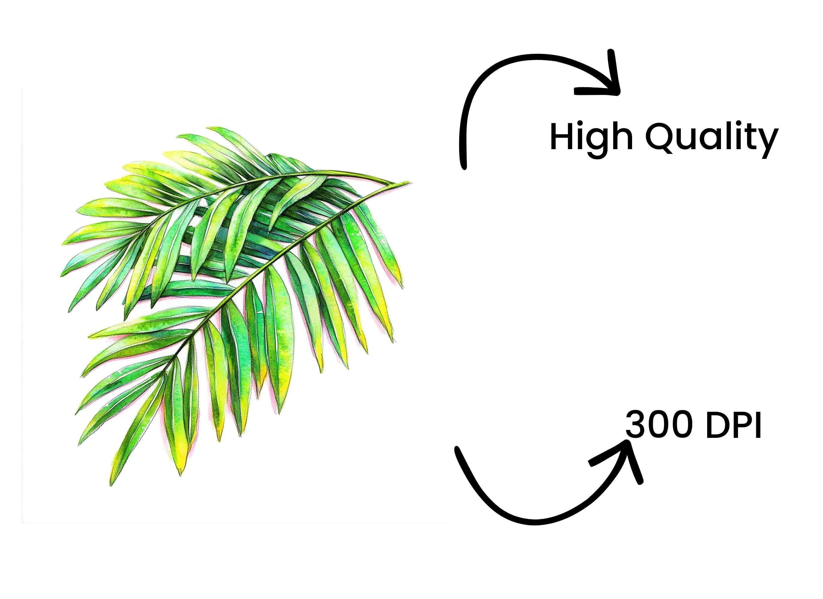 Lush Green Palm Leaves Clipart Bundle