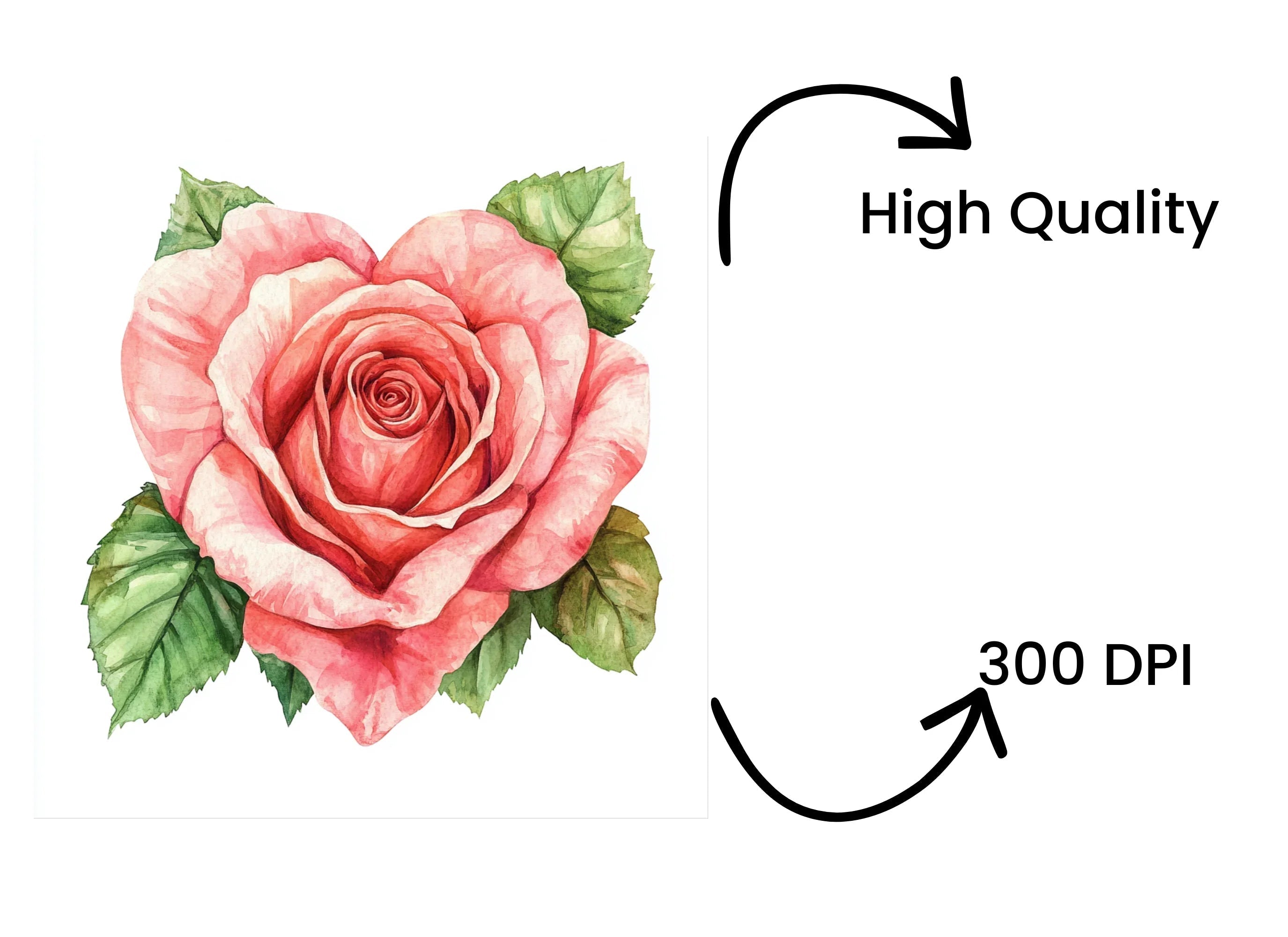 Pink Rose Heart Clipart Bundle