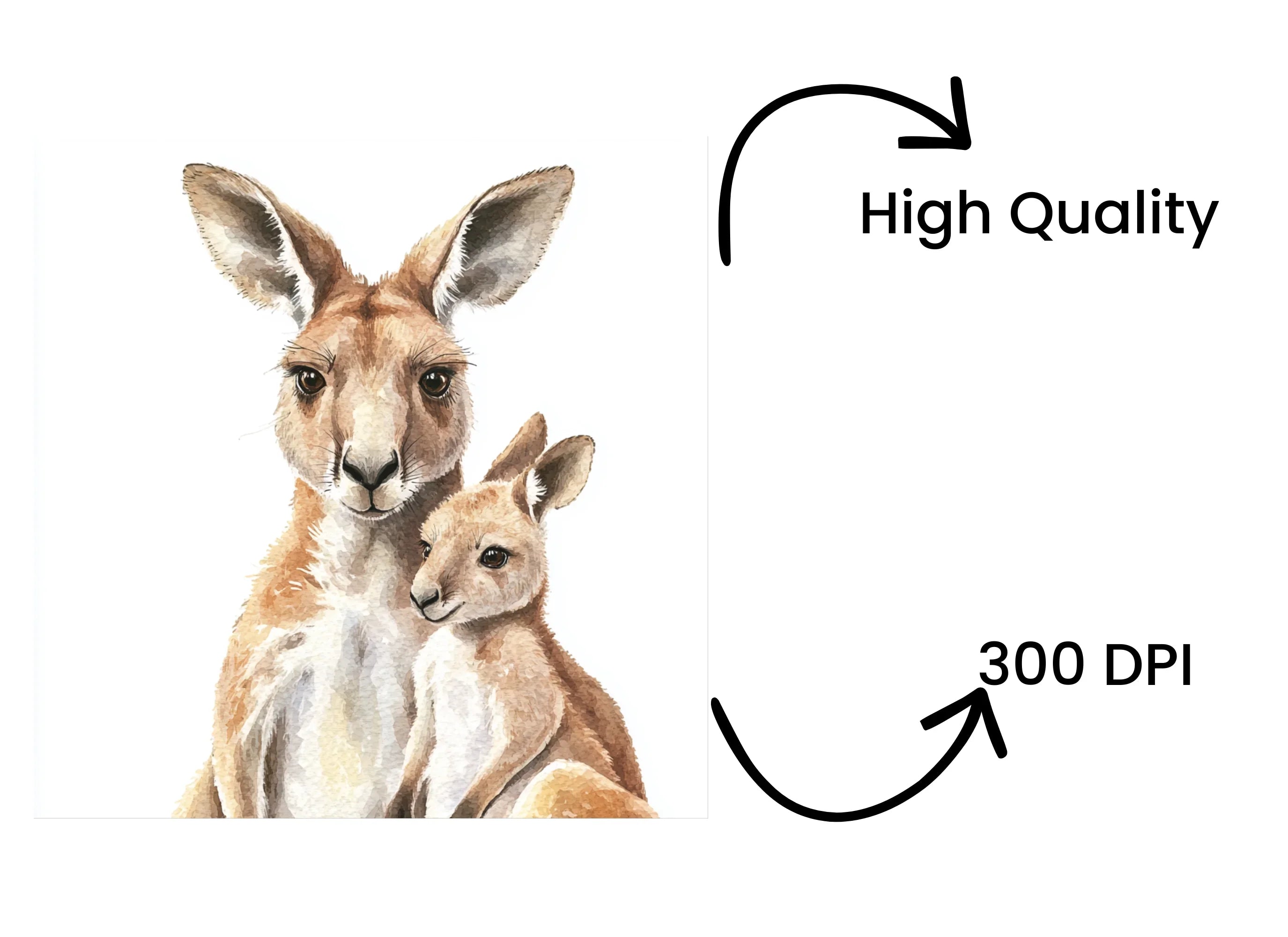 Kangaroo Mother and Baby Clipart Bundle