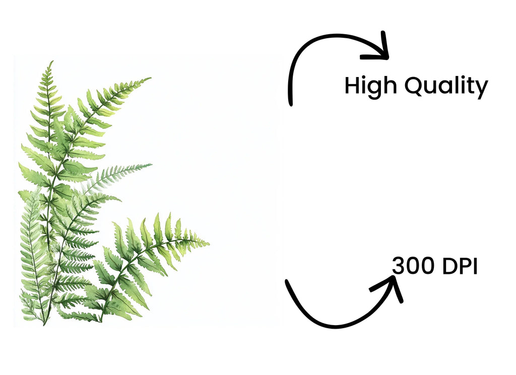 Green Fern Border Elements Clipart Bundle