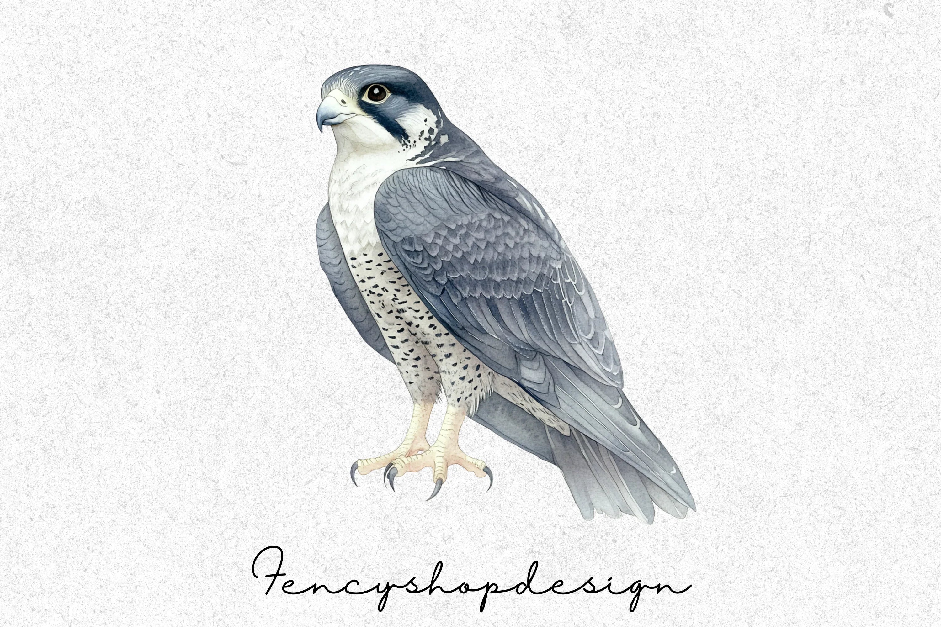 Majestic Falcon Clipart Bundle