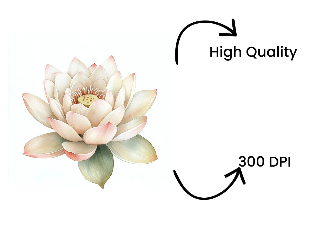 Graceful Water Lily Clipart Bundle