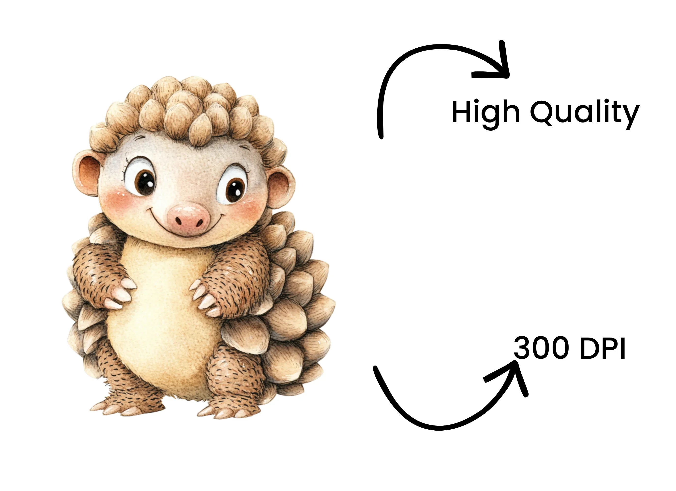 Cute Pangolin Hedgehog Clipart Bundle