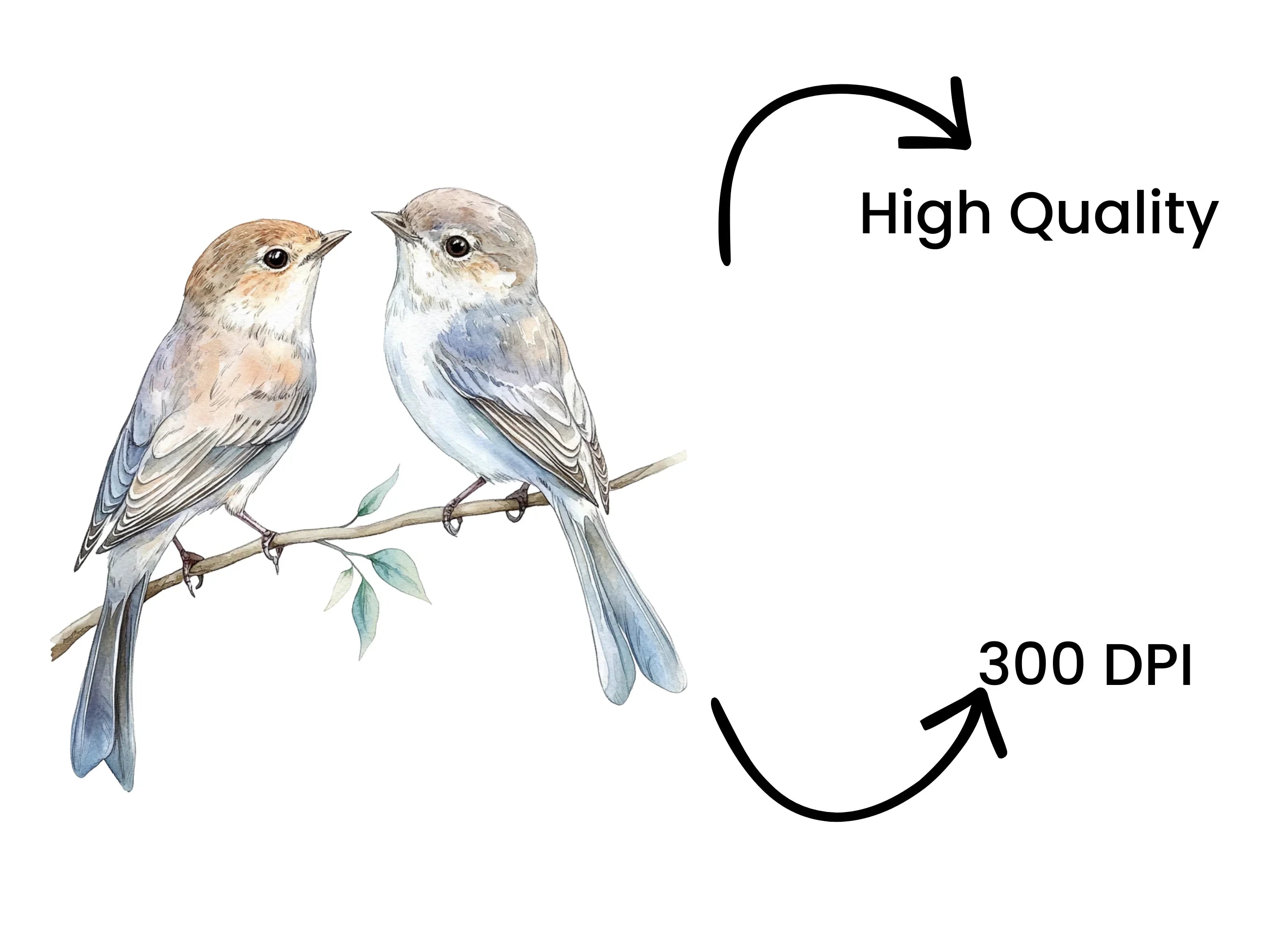 Birds on Branch Clipart Bundle