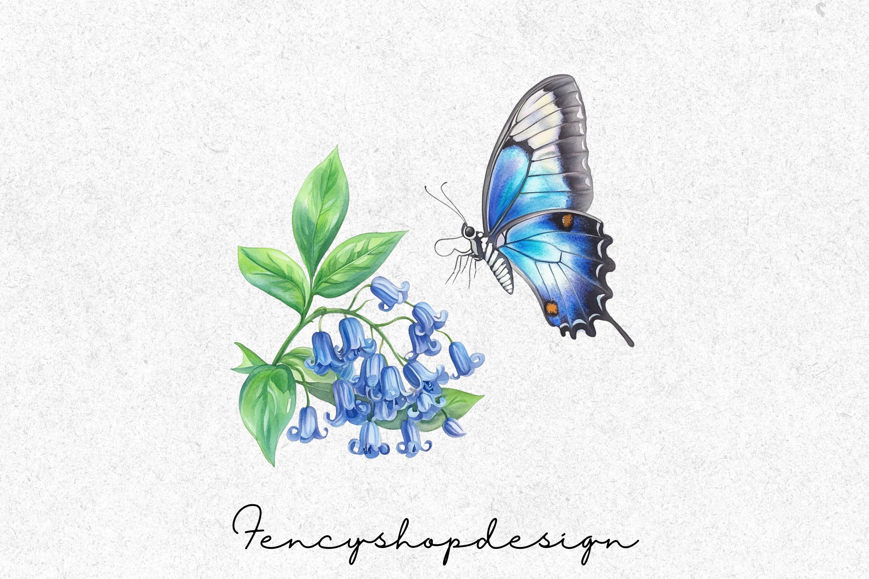 Butterfly Floral Clipart Bundle