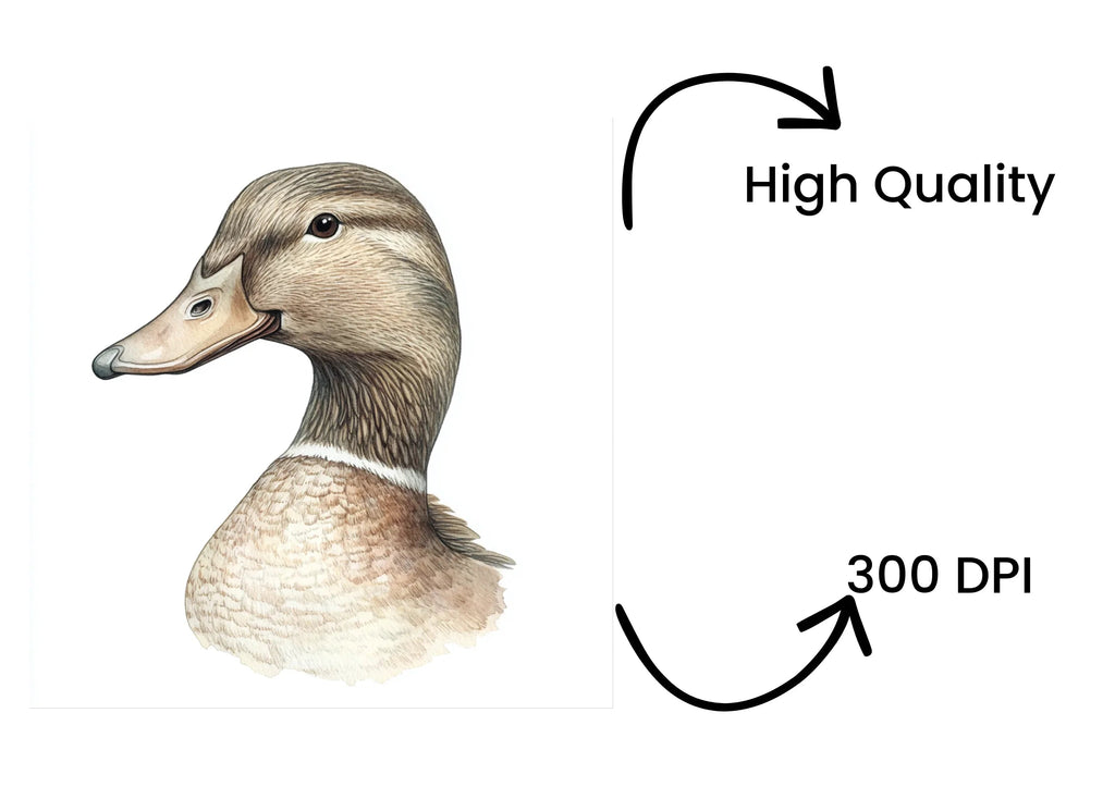 Mallard Duck Head Profile Clipart Bundle
