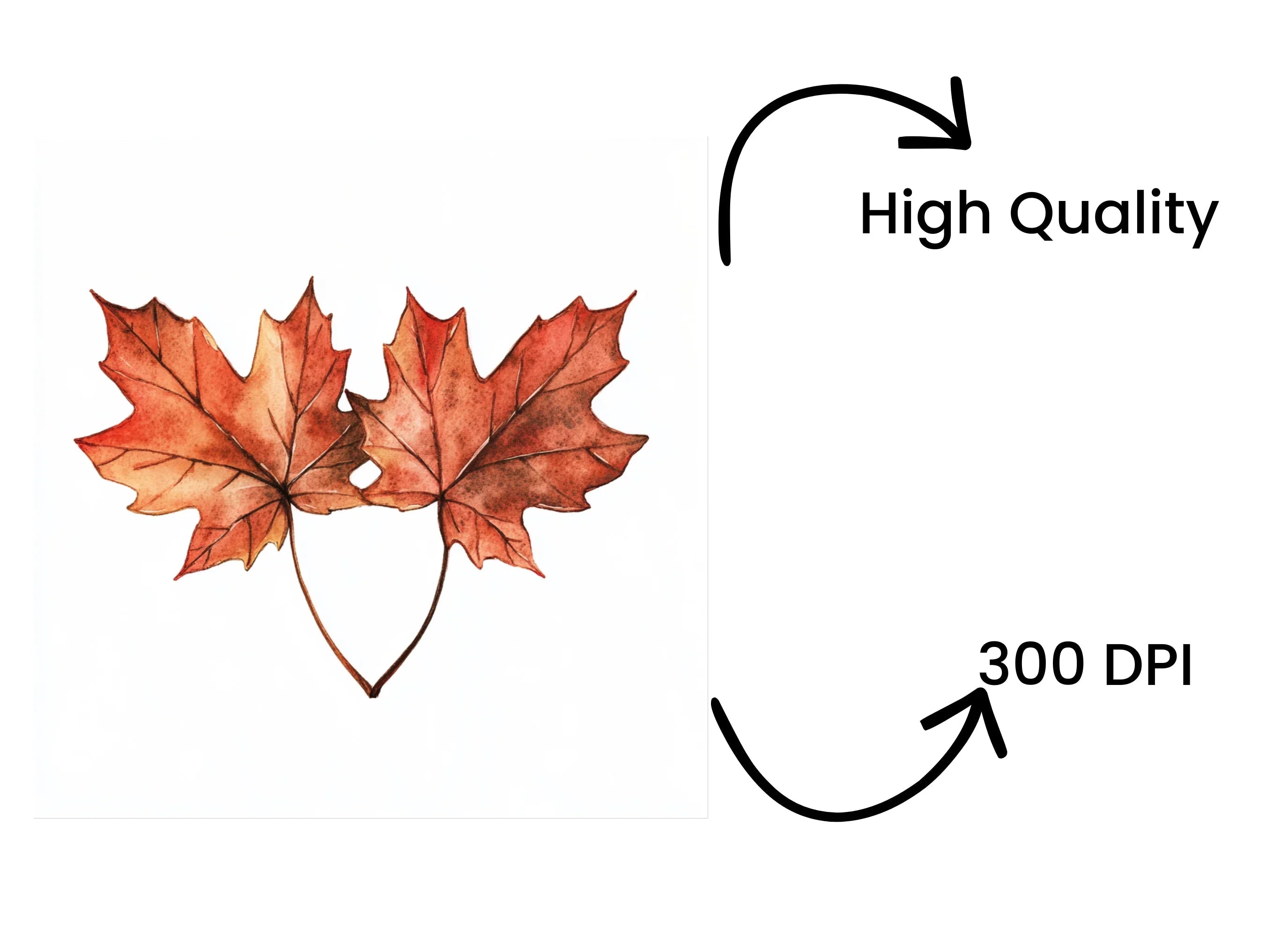 Maple Leaves Love Clipart Bundle