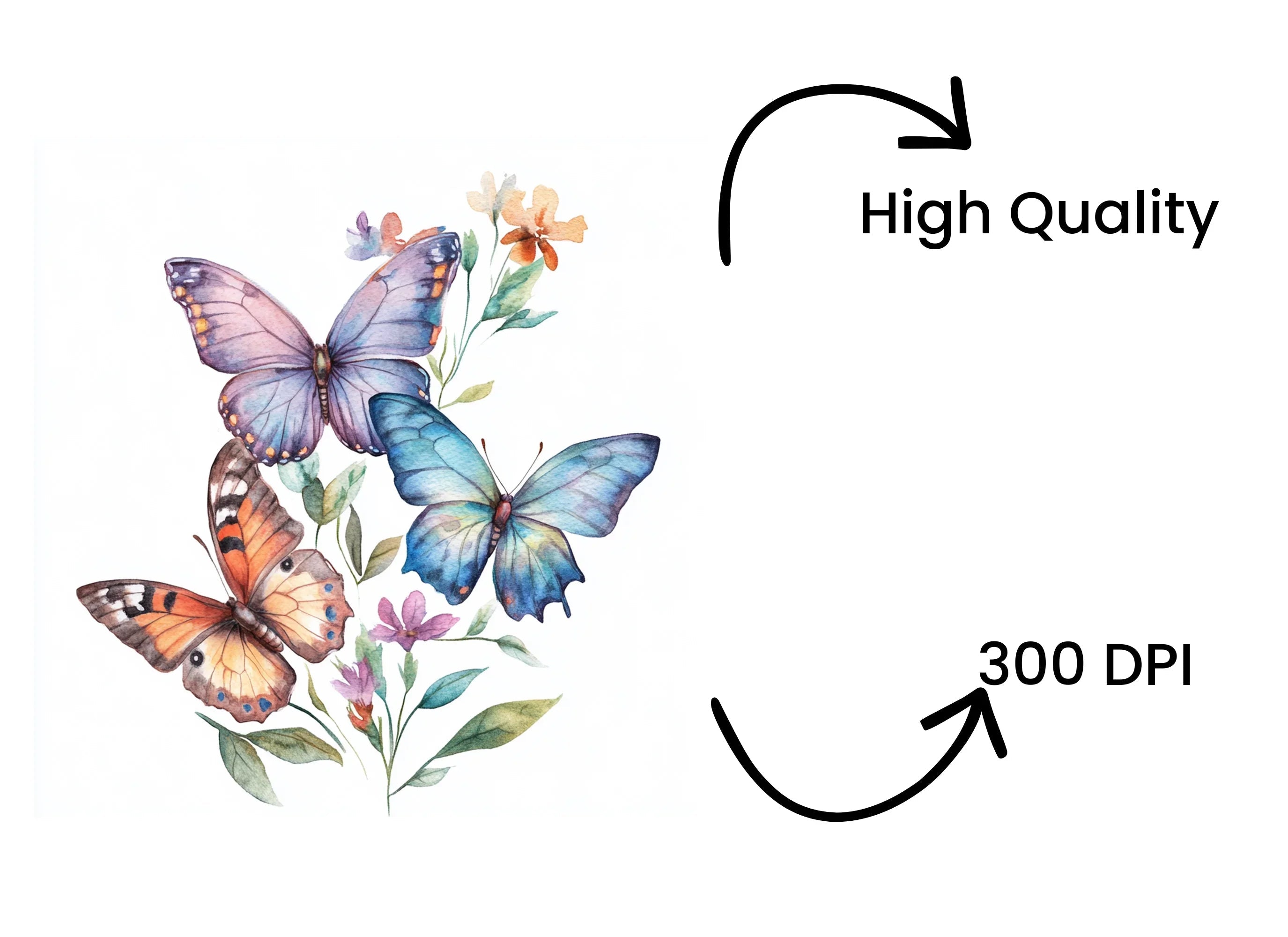Butterfly Clipart Bundle