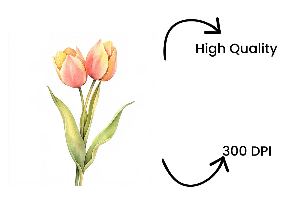 Pink Tulip Flower Clipart Bundle