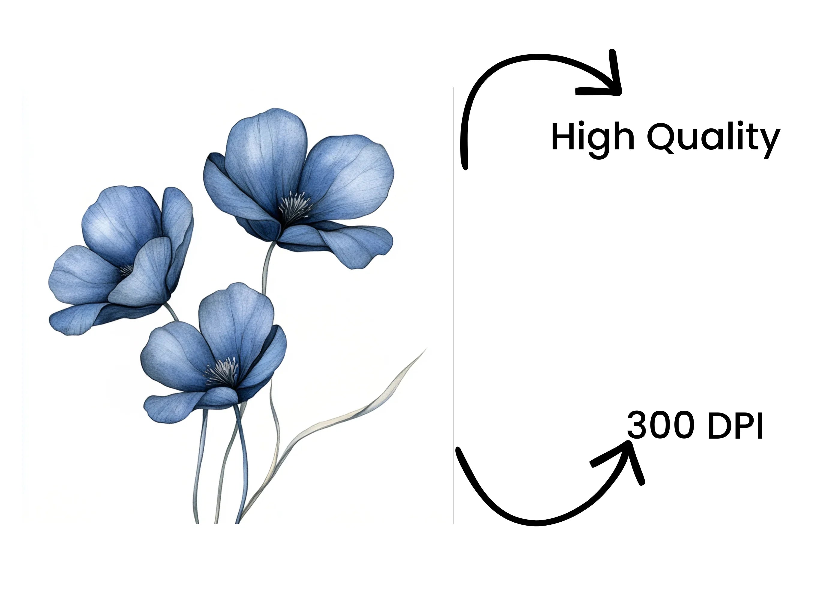 Elegant Blue Flower Clipart Bundle