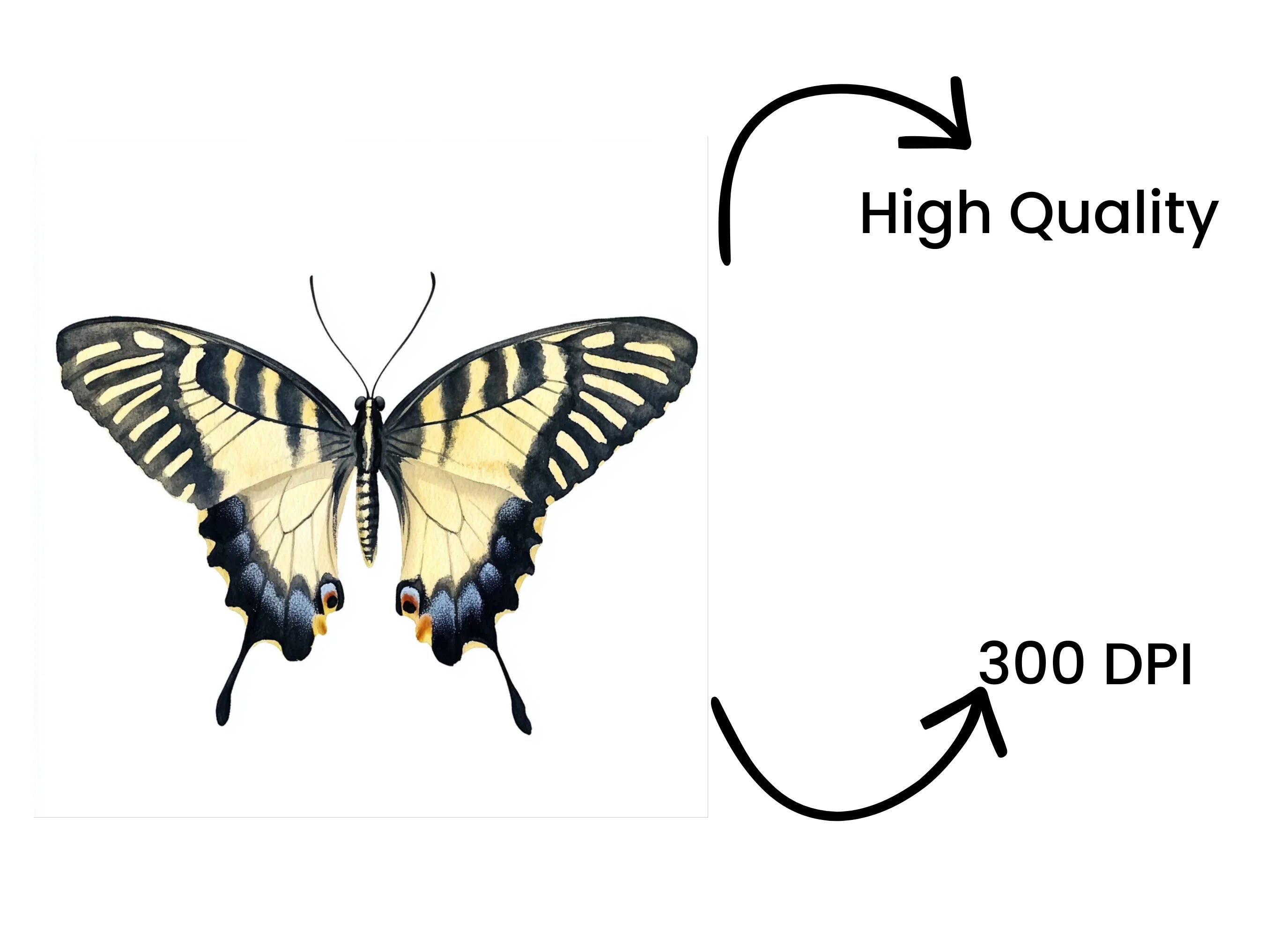 Striped Swallowtail Butterfly Clipart Bundle