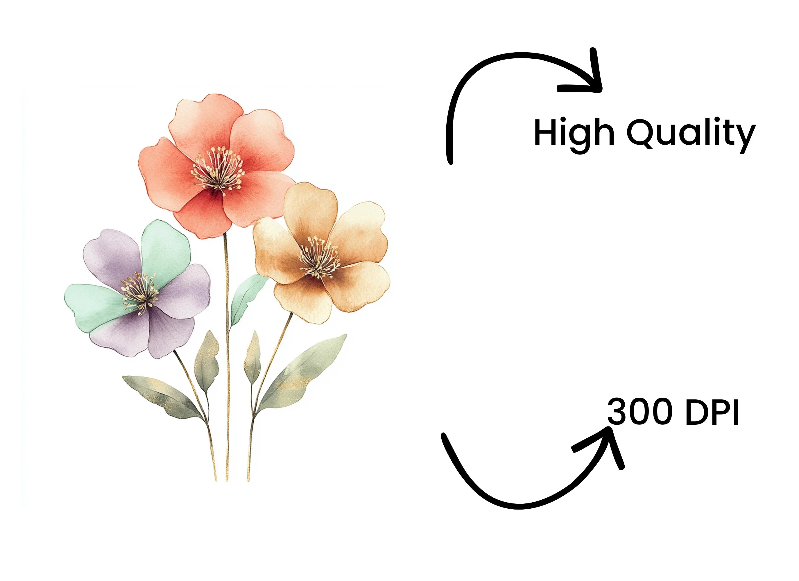 Floral Clipart Bundle