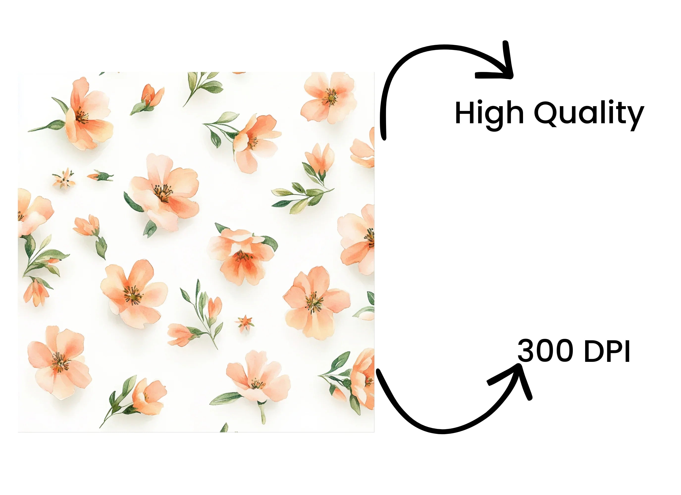 Delicate Peach Floral Clipart Bundle