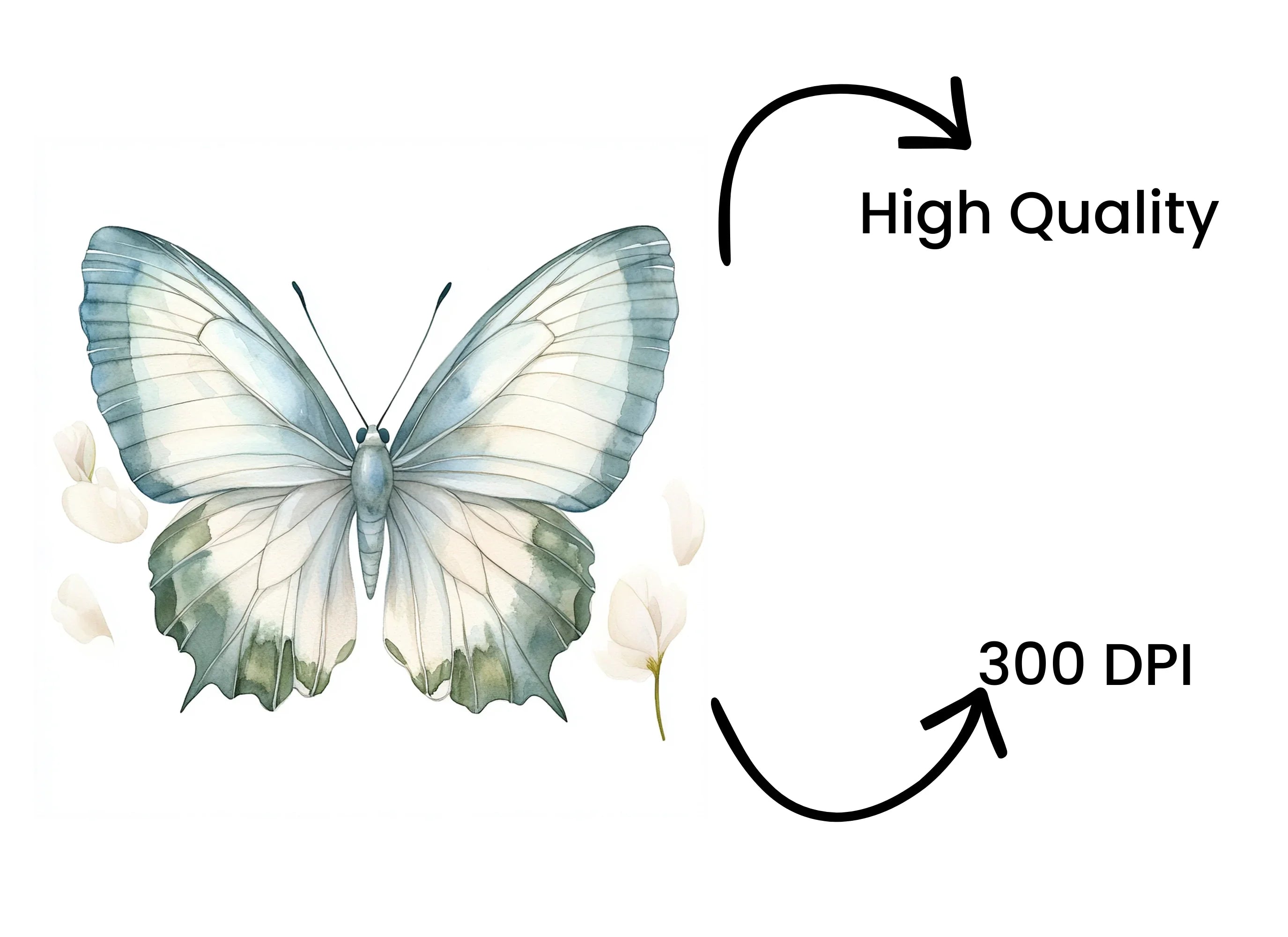 Blue Butterfly Clipart Bundle