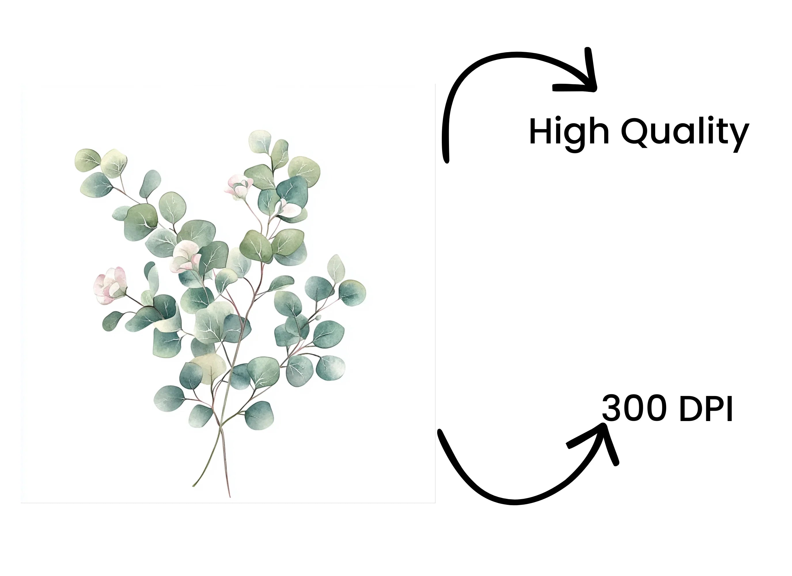 Soft Eucalyptus Leaves Clipart Bundle