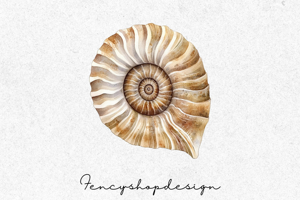 Seashell Ammonite Clipart Bundle