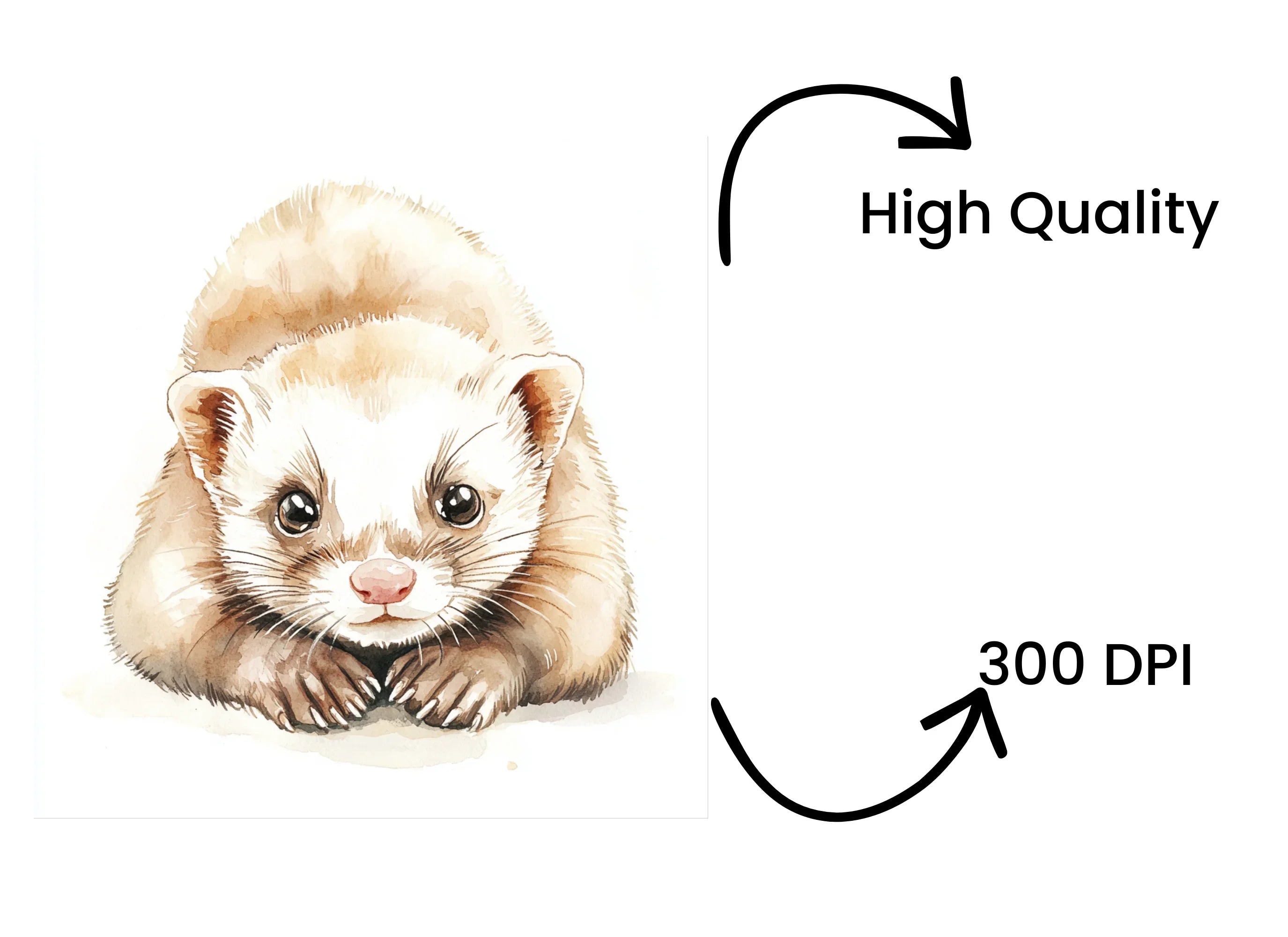 Cute Ferret Clipart Bundle